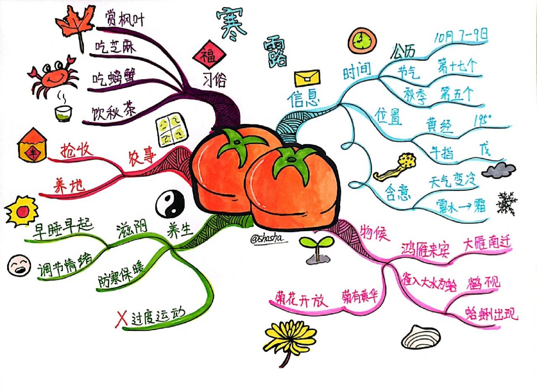 手绘思维导图 | 二十四节气之"寒露" 寒露,是二十四节气之第十七个