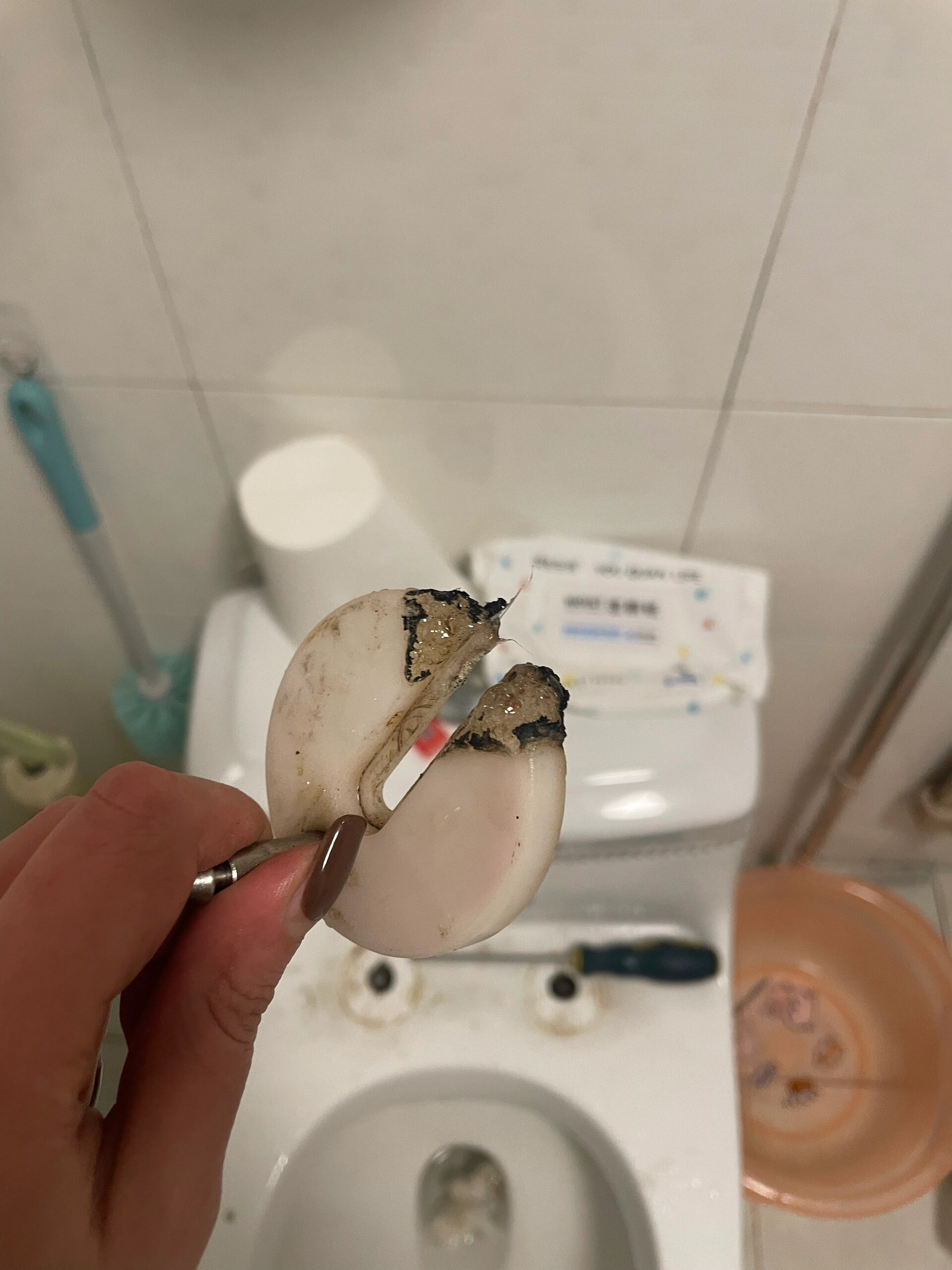 马桶盖螺丝拆换小技巧