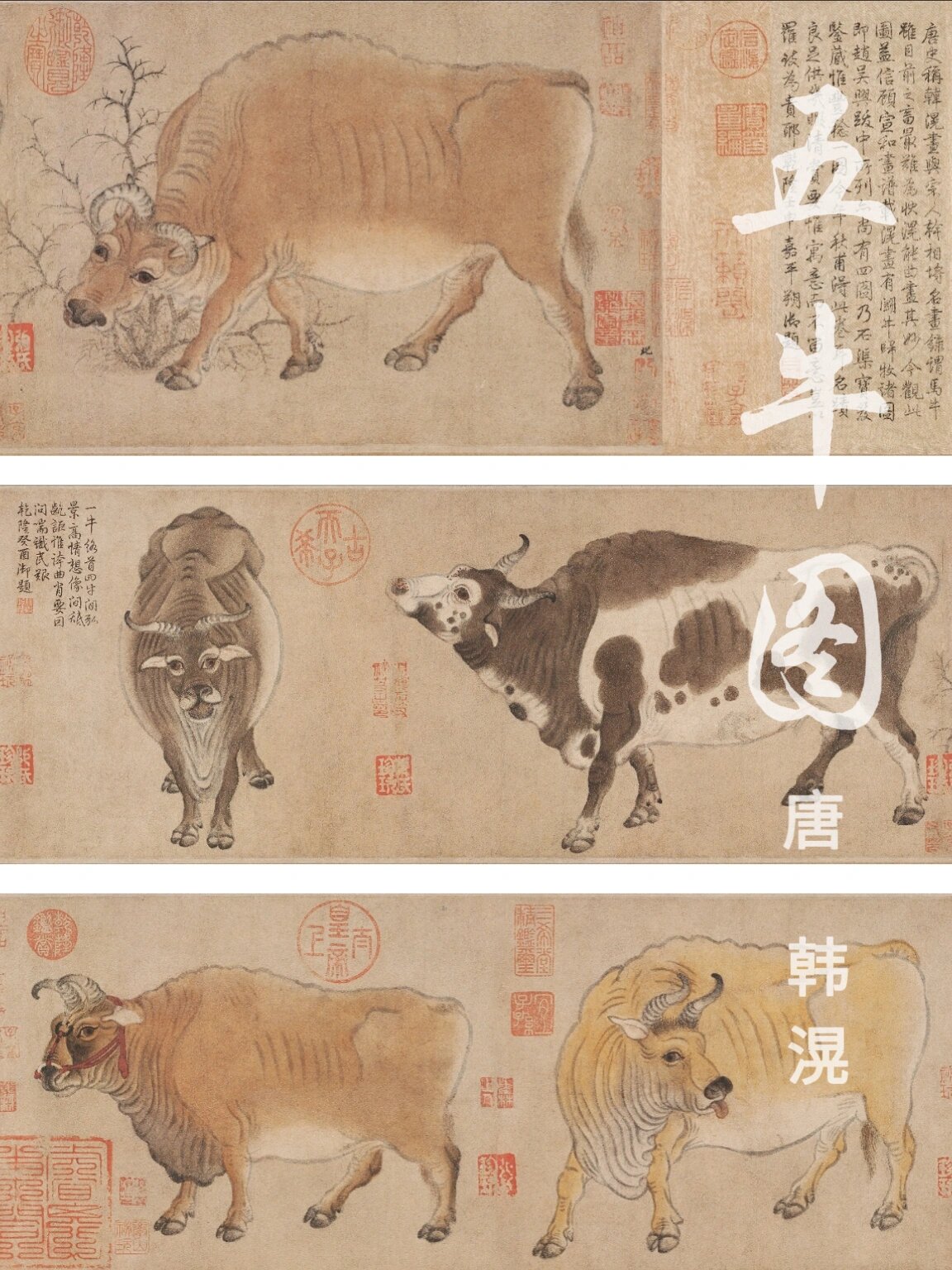 第16件《五牛图》稀世名画流转千年