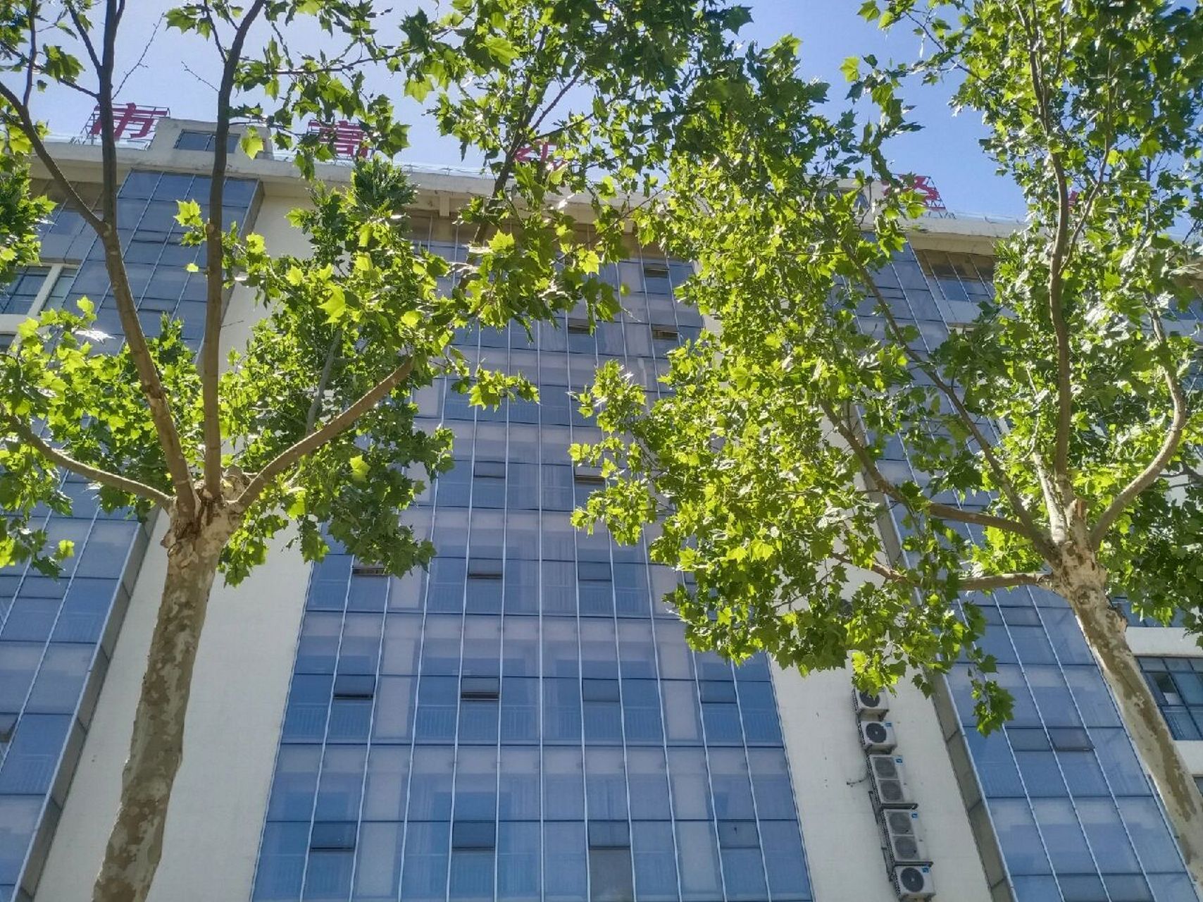临沂市高级财经学校 财校生活倒计时了