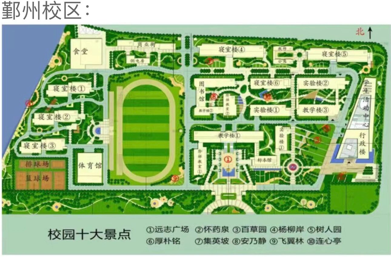 浙江中医药大学平面图图片