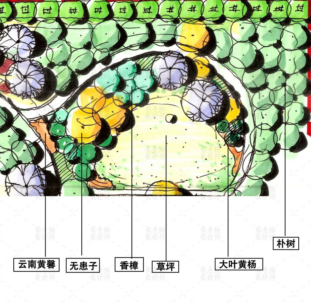 植物配置平面图98快收藏起来 0202020202020202