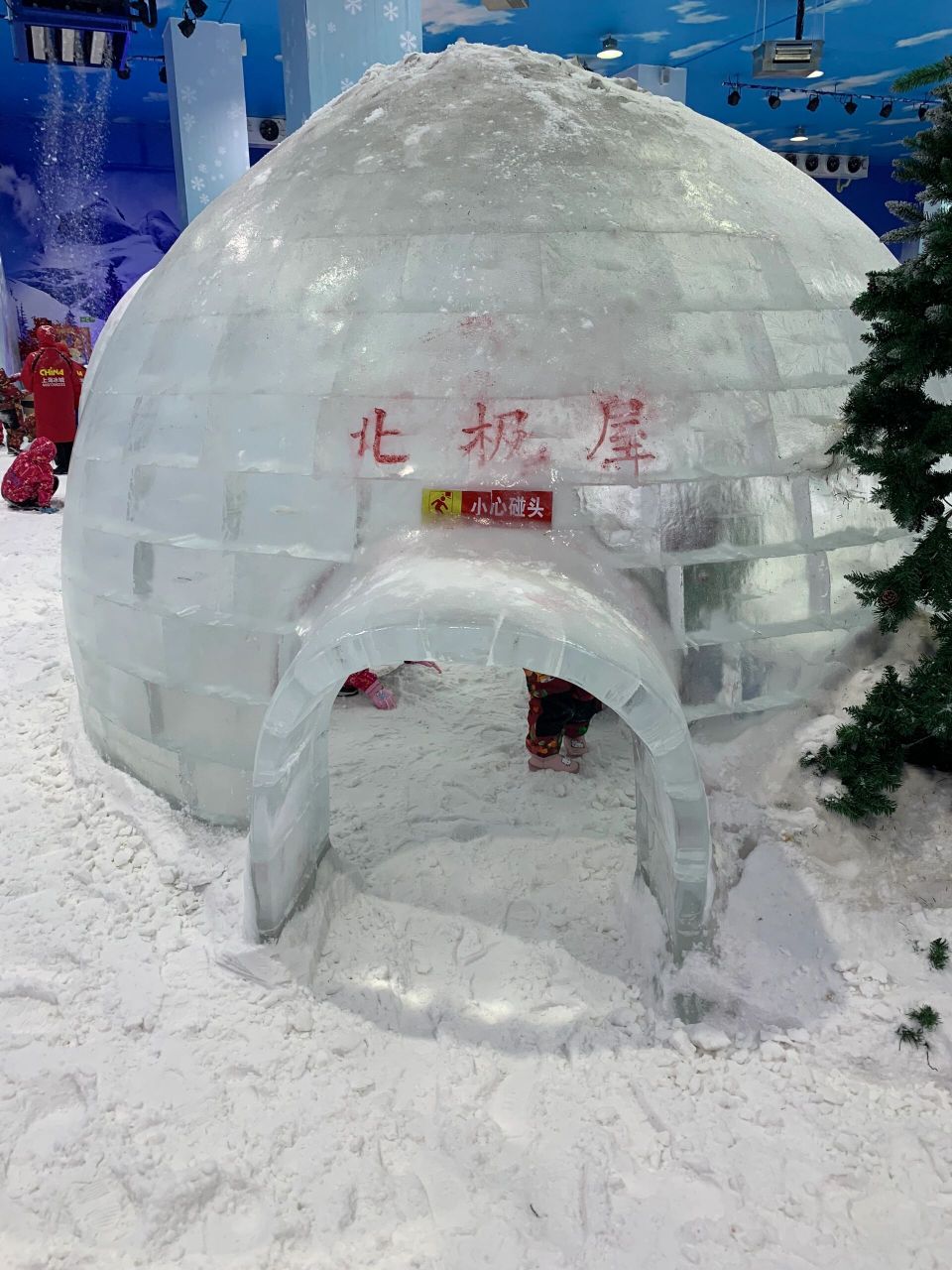 上海四季冰雪乐园图片