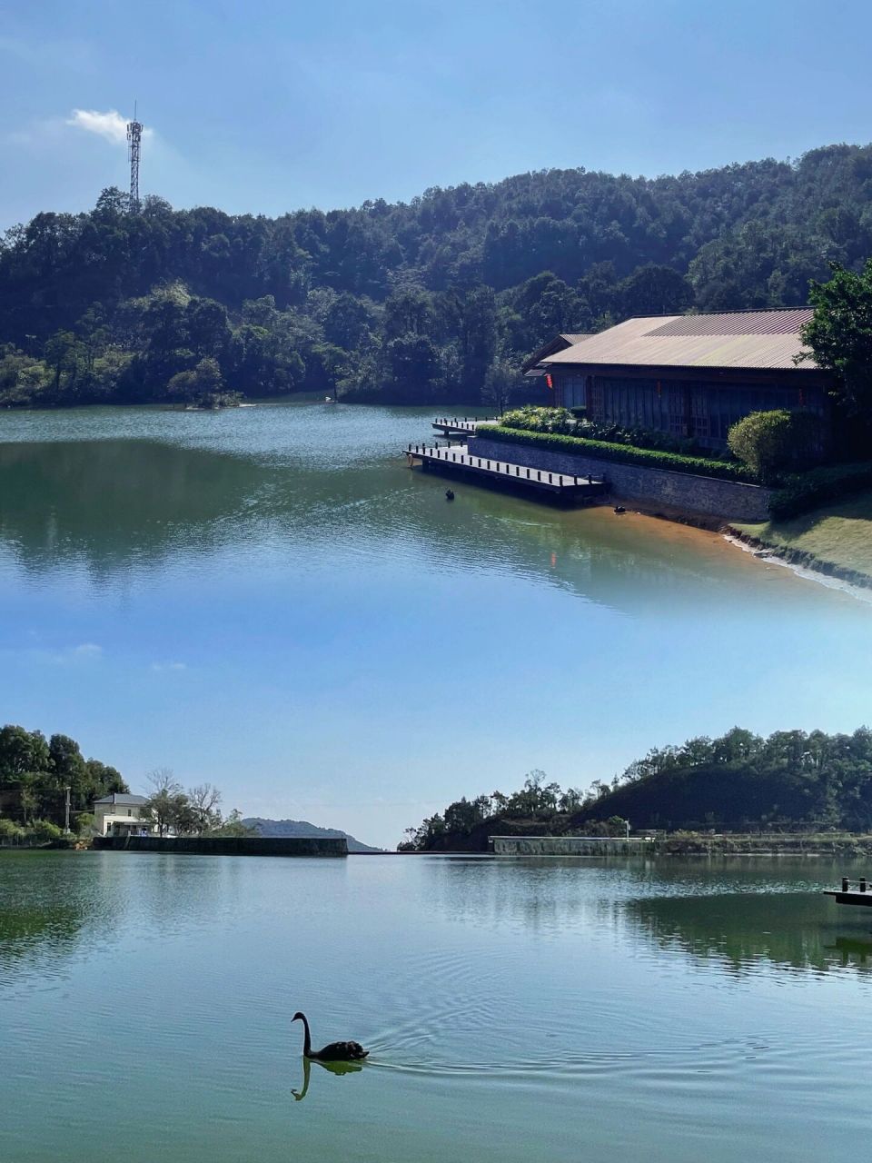 惠州博罗天心湖图片