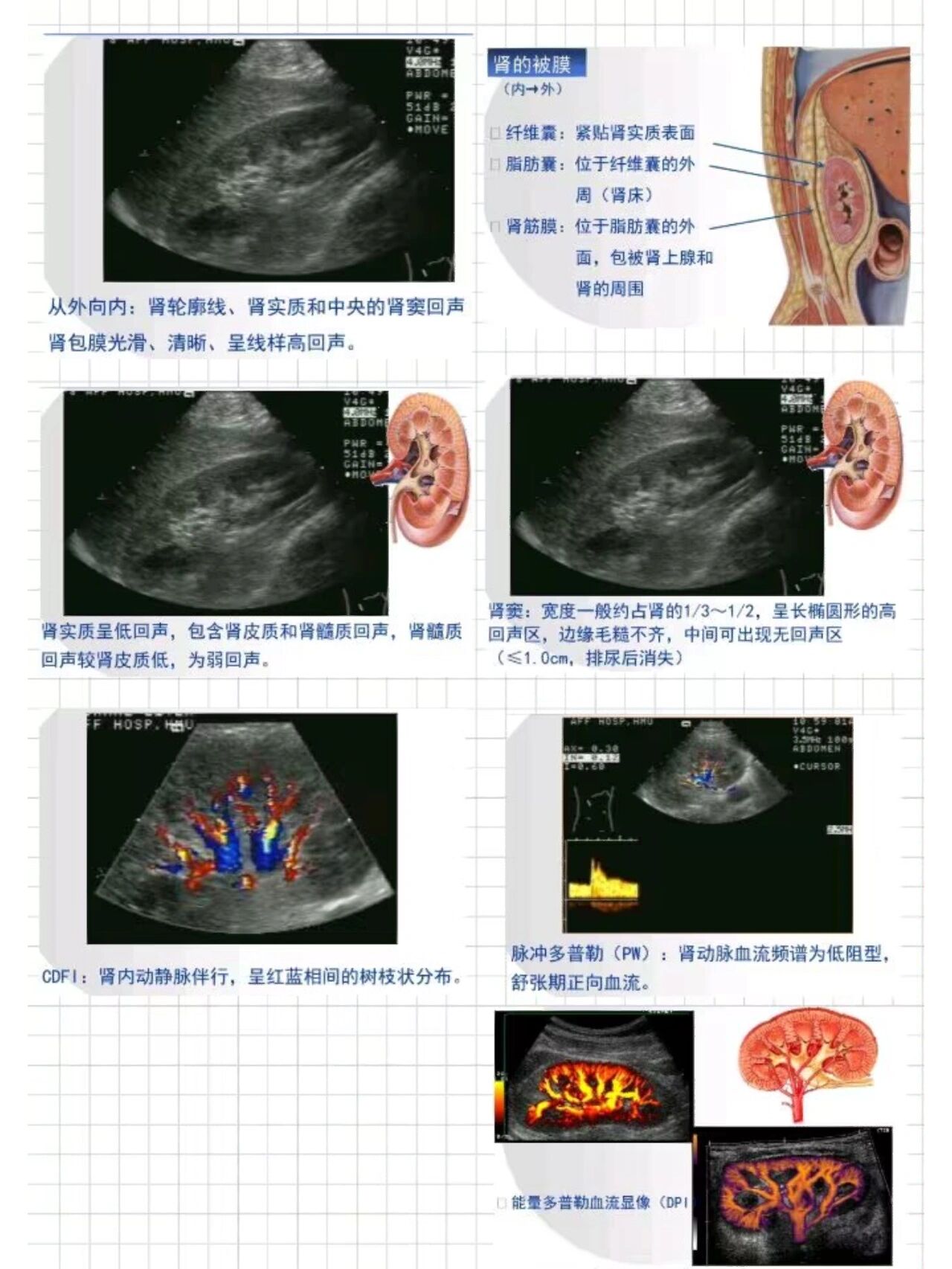 肾脏超声手写笔记