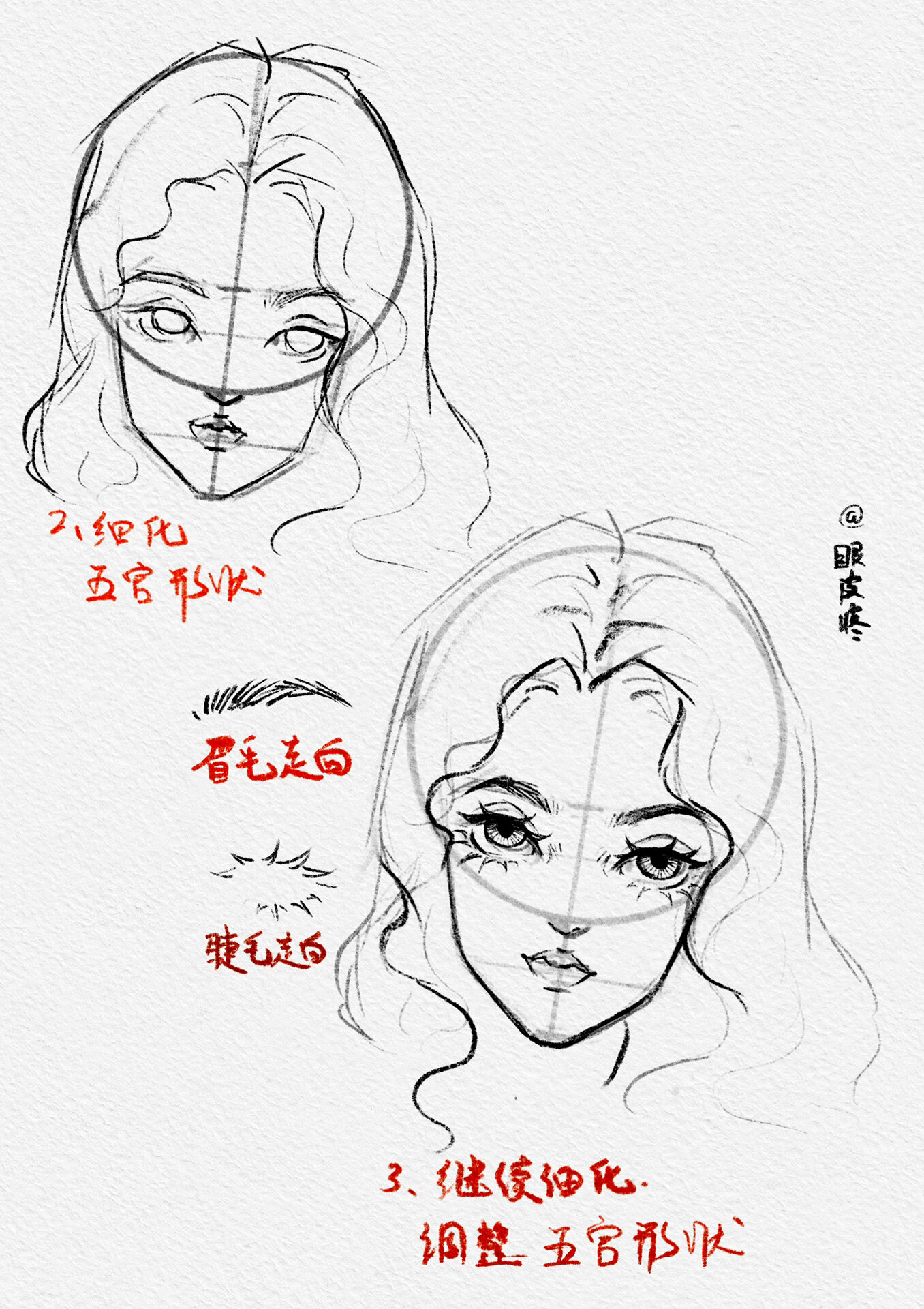 你们催的面部比例教程/有手就能画