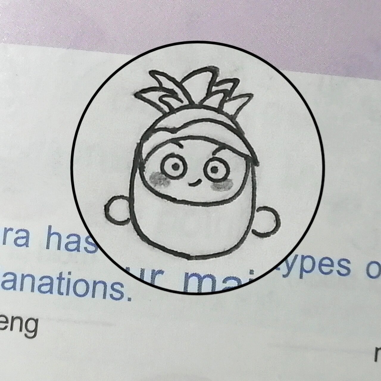 菠萝吹雪简笔画