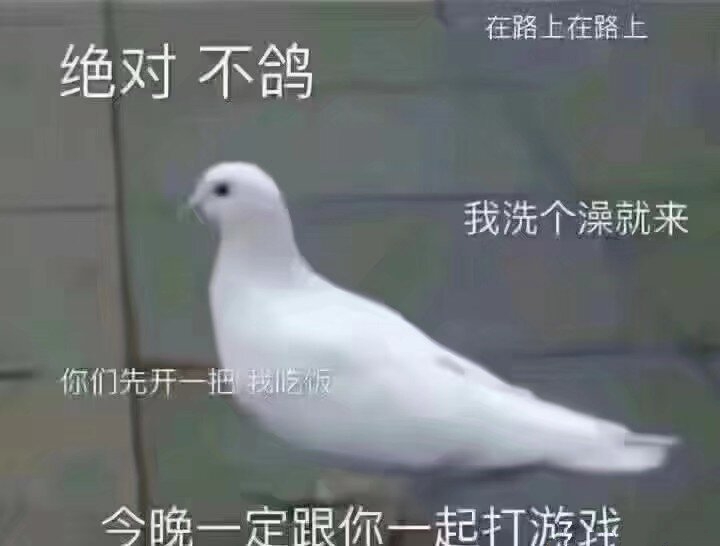 鸽子王专属表情包