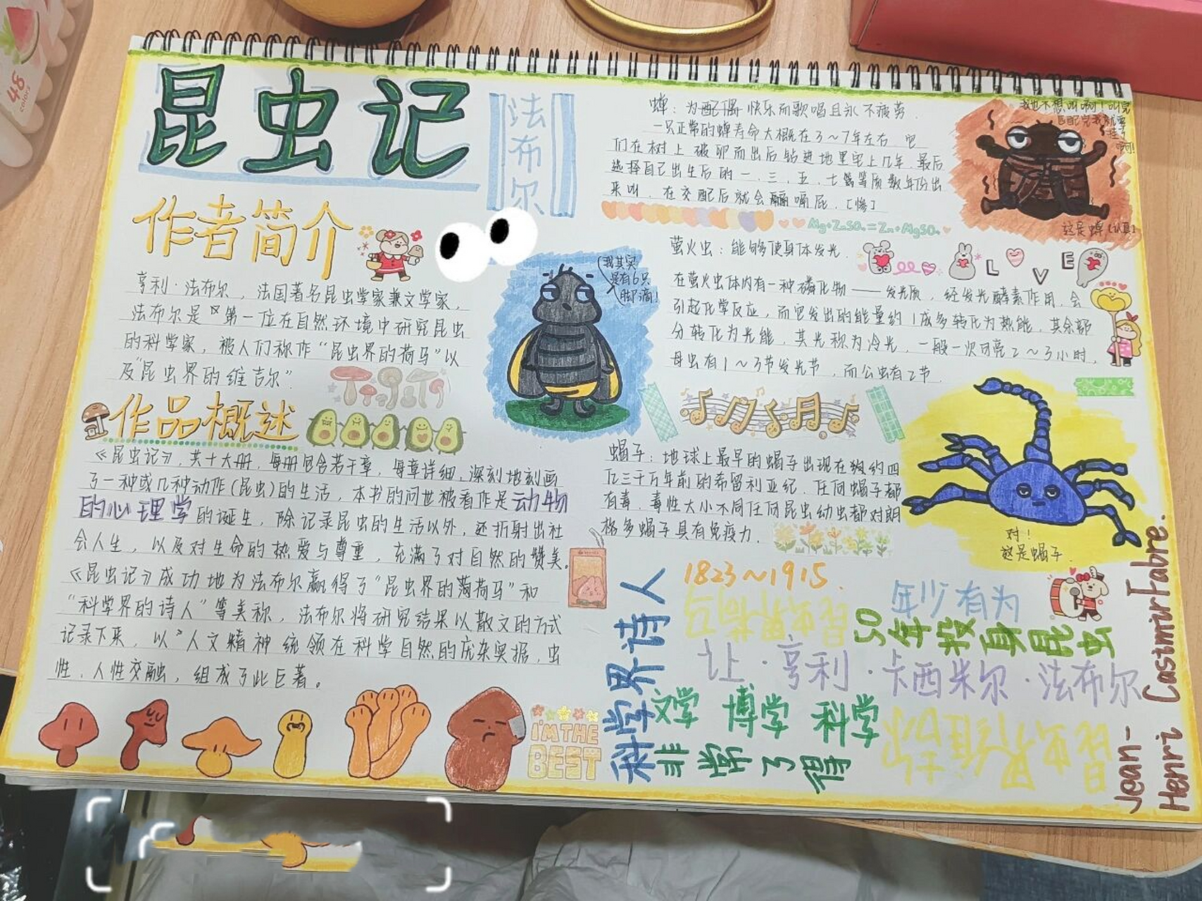 《昆虫记》手抄报来啦!