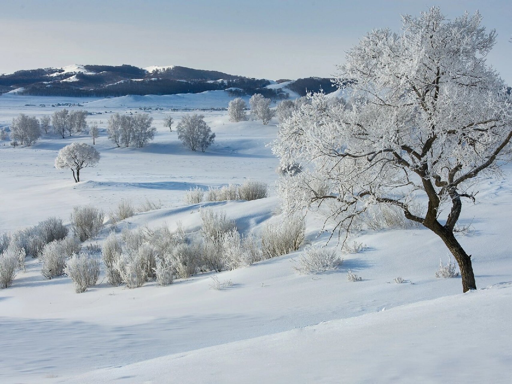 冬季风景唯美摄影 最近气温骤降,冬天赏雪景的时候到了!
