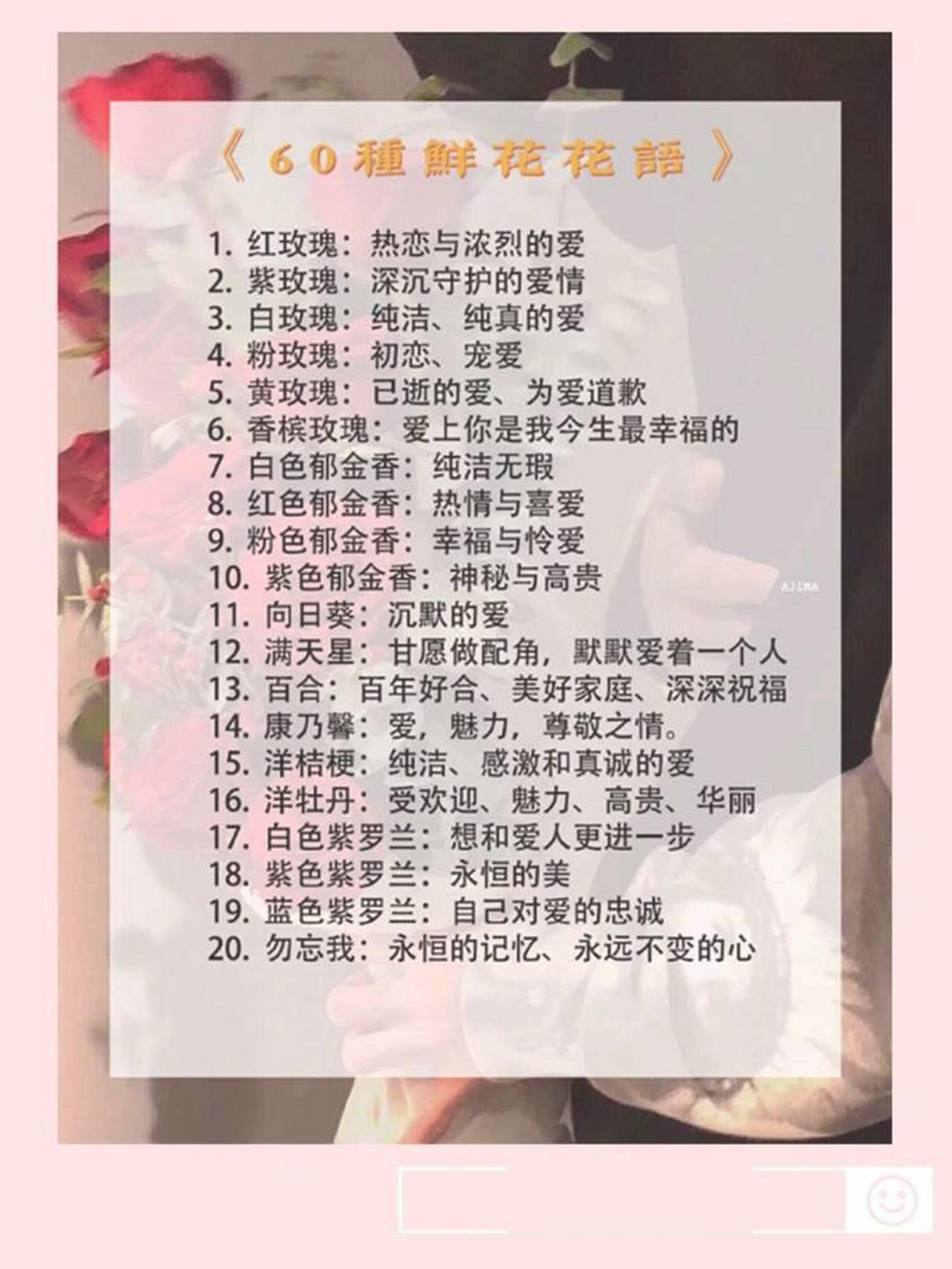 花朵数代表的含义图片