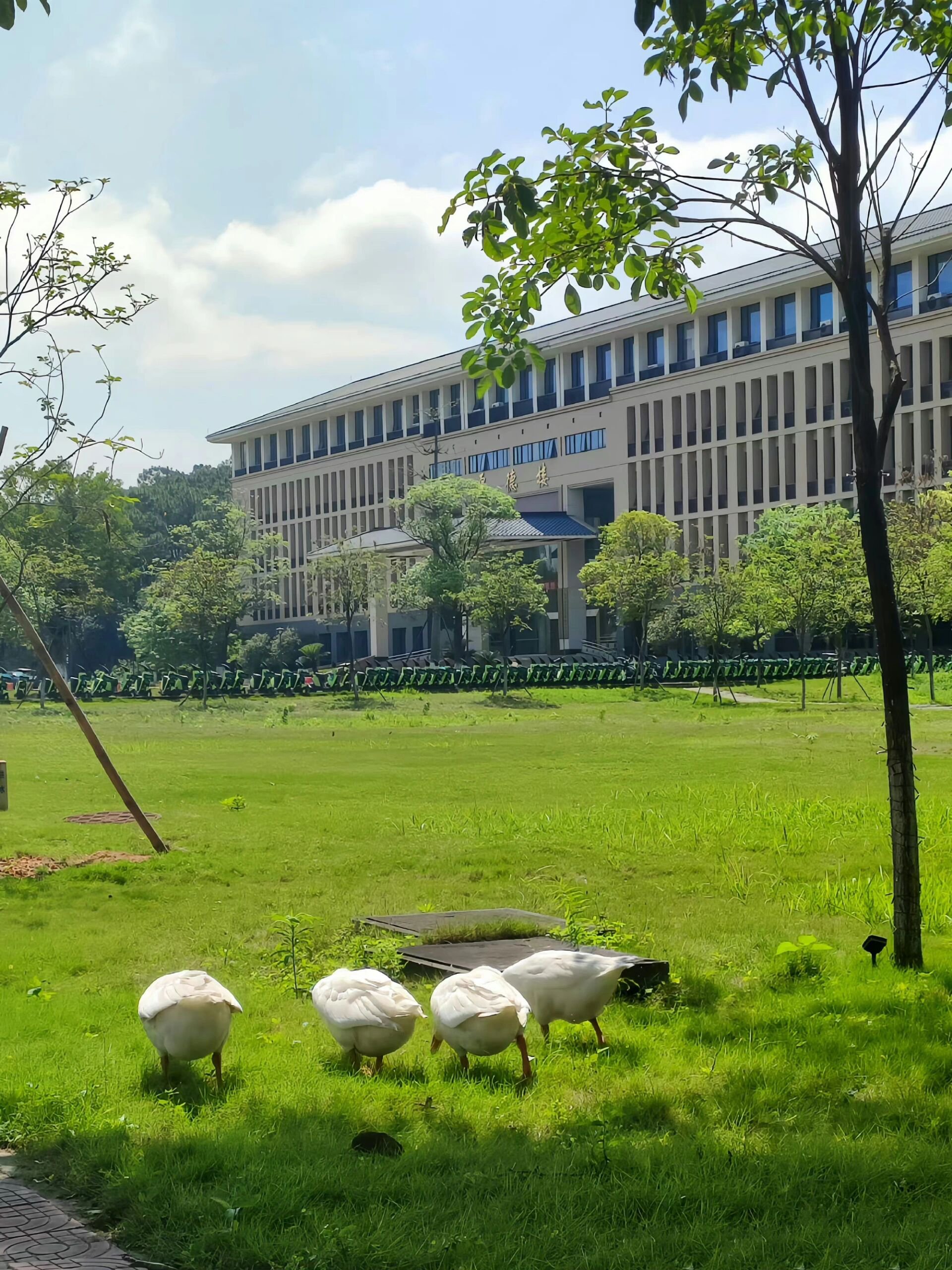 广东财经大学海珠校区多大(广东财经大学海珠校区多大平米)