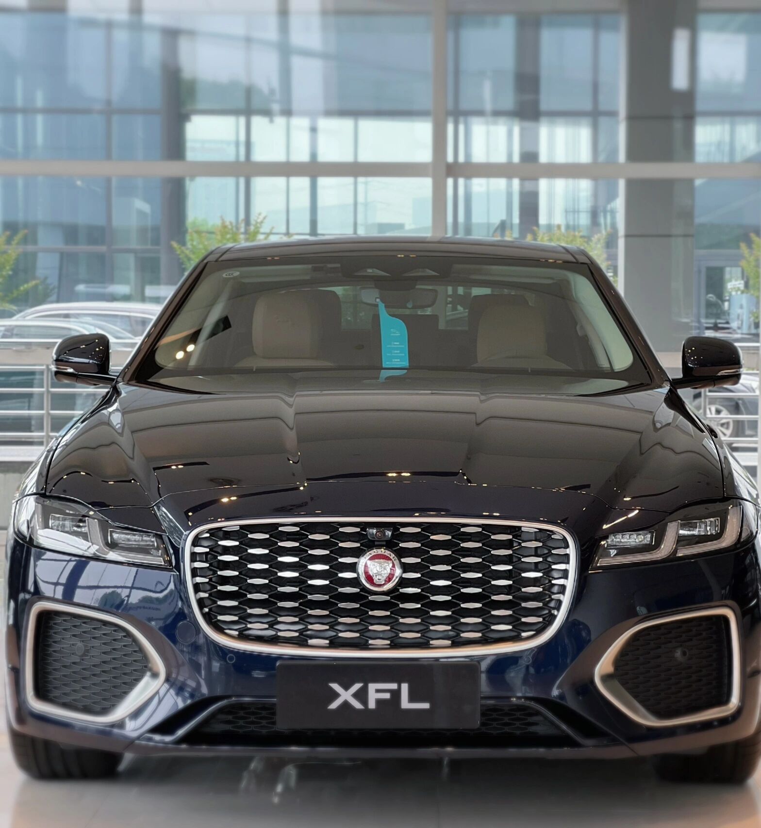 捷豹xfl波托菲诺蓝 不想和别人撞色选黑白 有大多数人选择了英国赛车