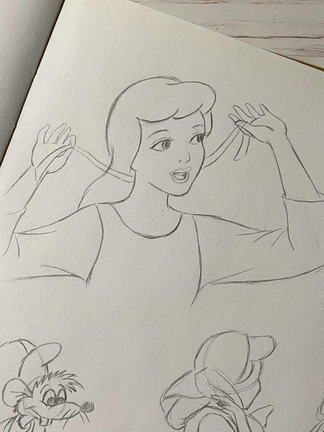最爱的灰姑娘 | 手绘练习16
