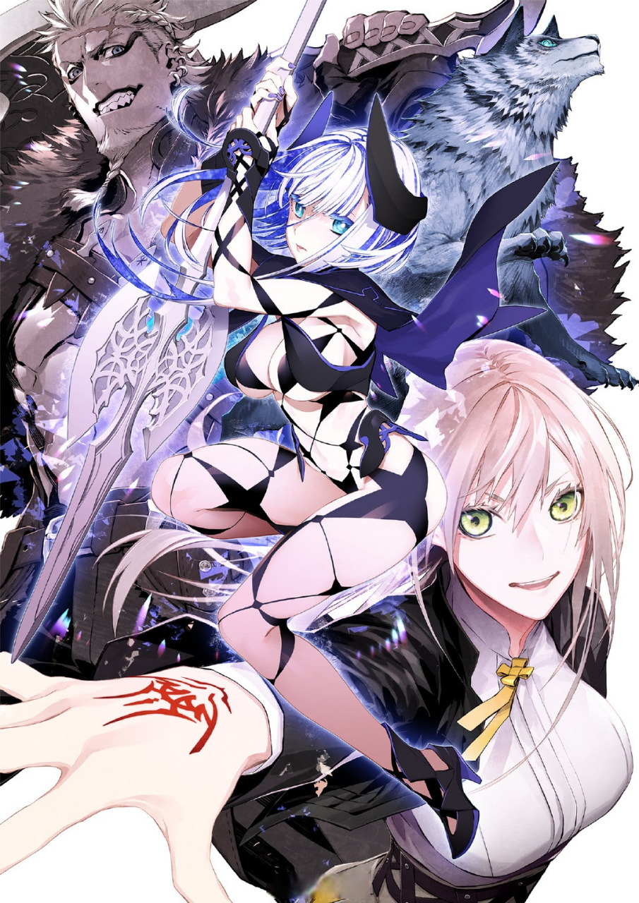 由樱井光执笔,三轮士郎作画的fate系列小说《fate:lost einherjar