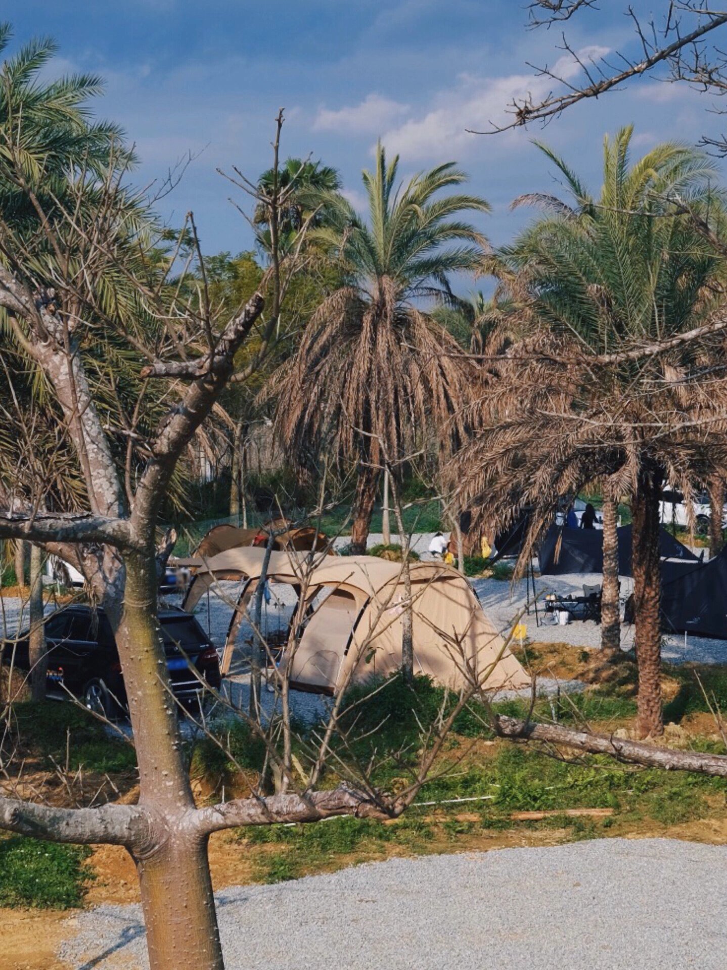 惠州白鹭湖房车营地图片