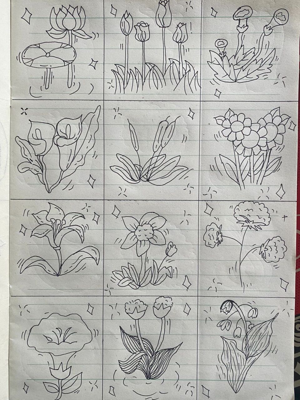 插图简笔画 花草可爱图片