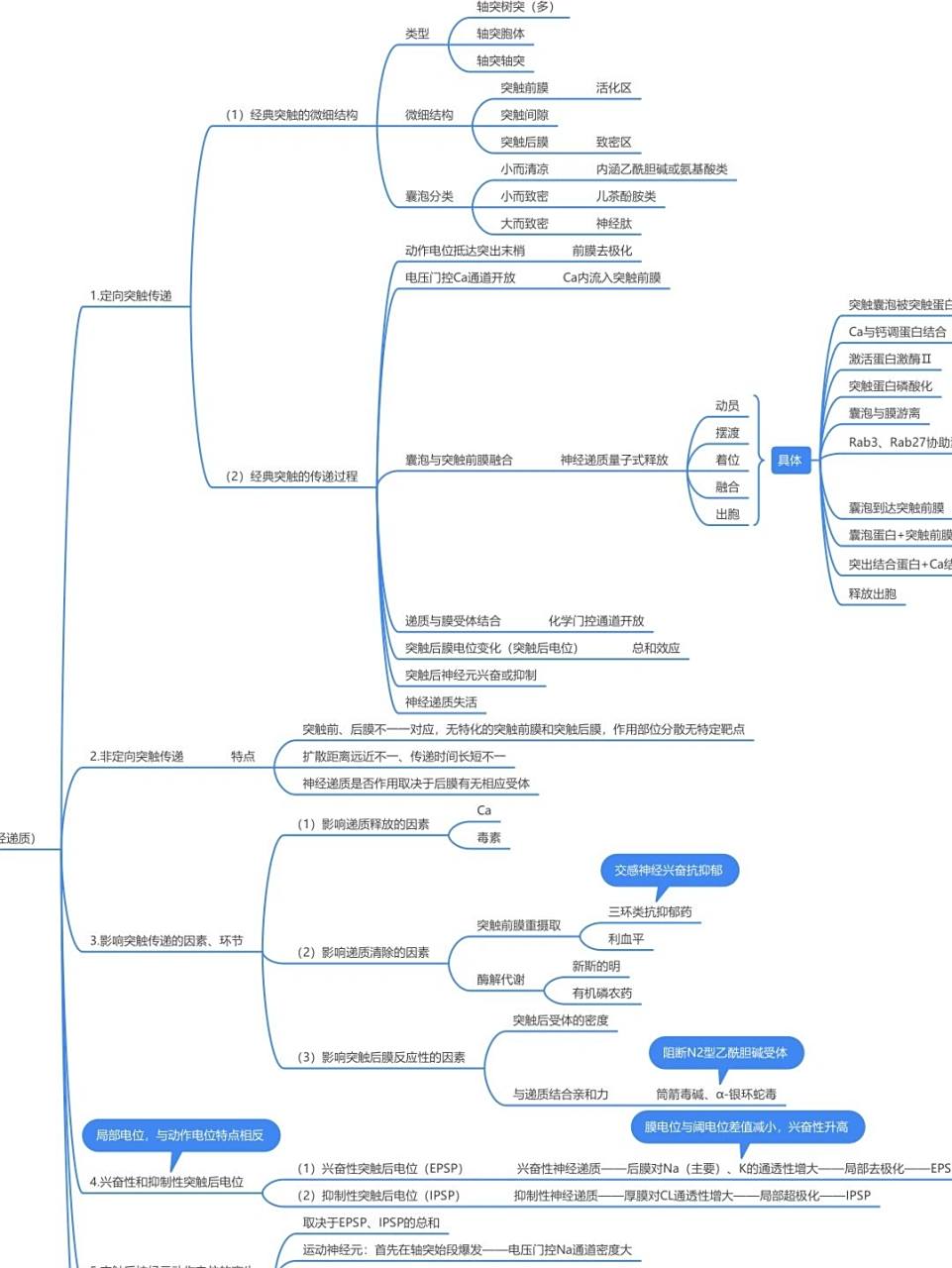 生理学系列-第十章神经系统的功能思维导图 这一张只总结了比较零碎的