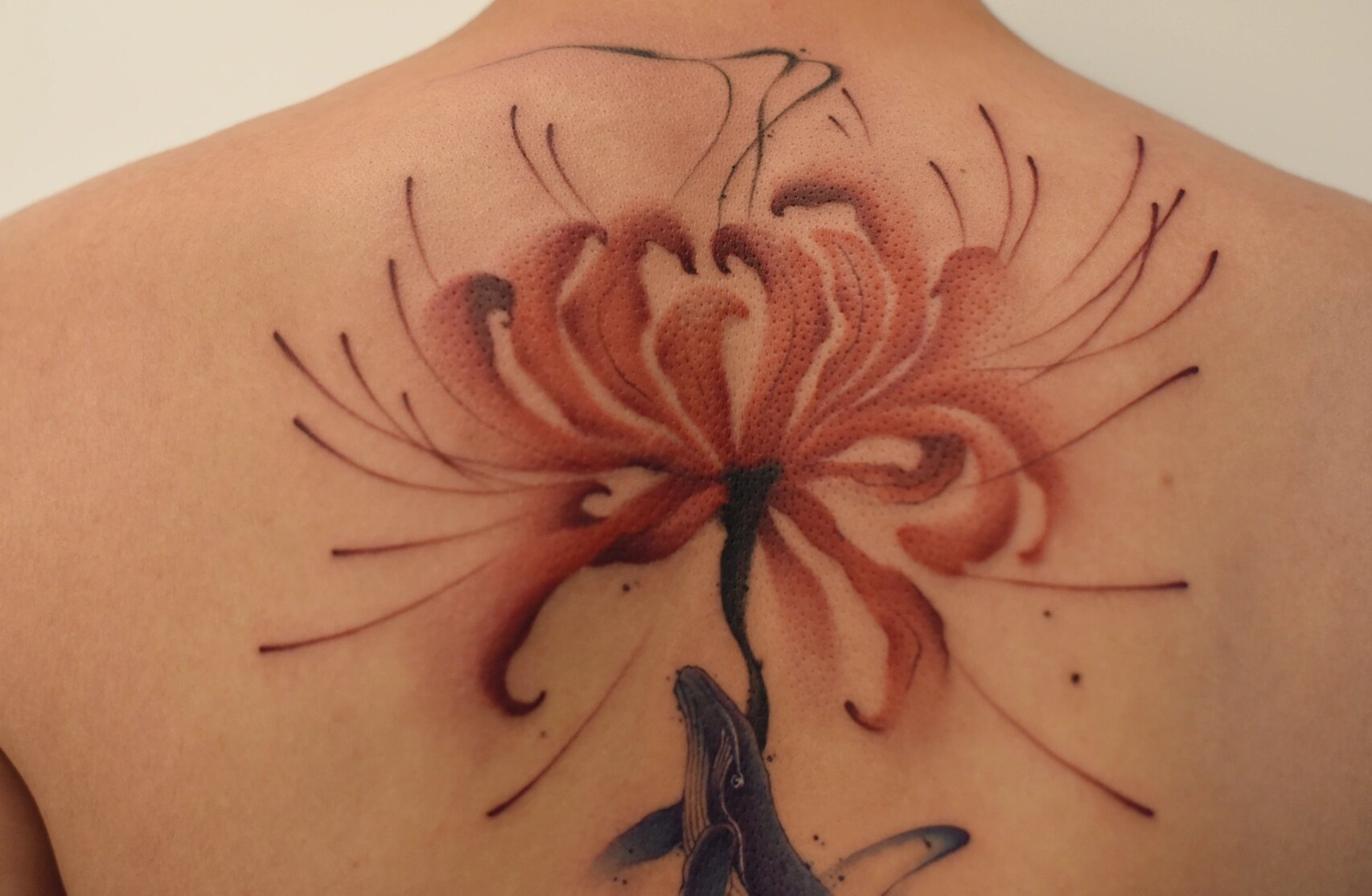 男孩子的后背彼岸花 小哥哥的要求 红色彼岸花 蓝色鲸鱼 后背脊椎竖