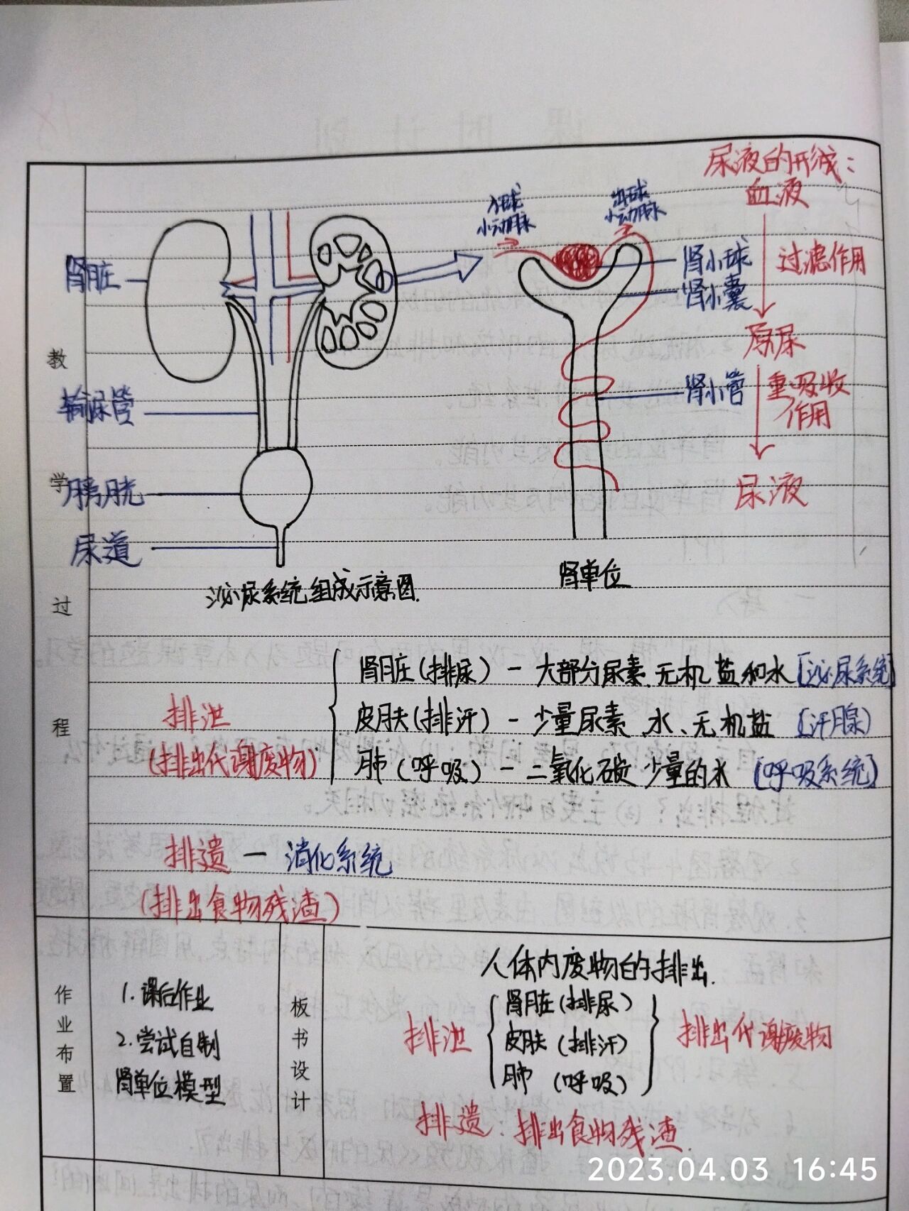 《人体内废物的排出》教学流程77思维导图 七年级下册生物人教版第