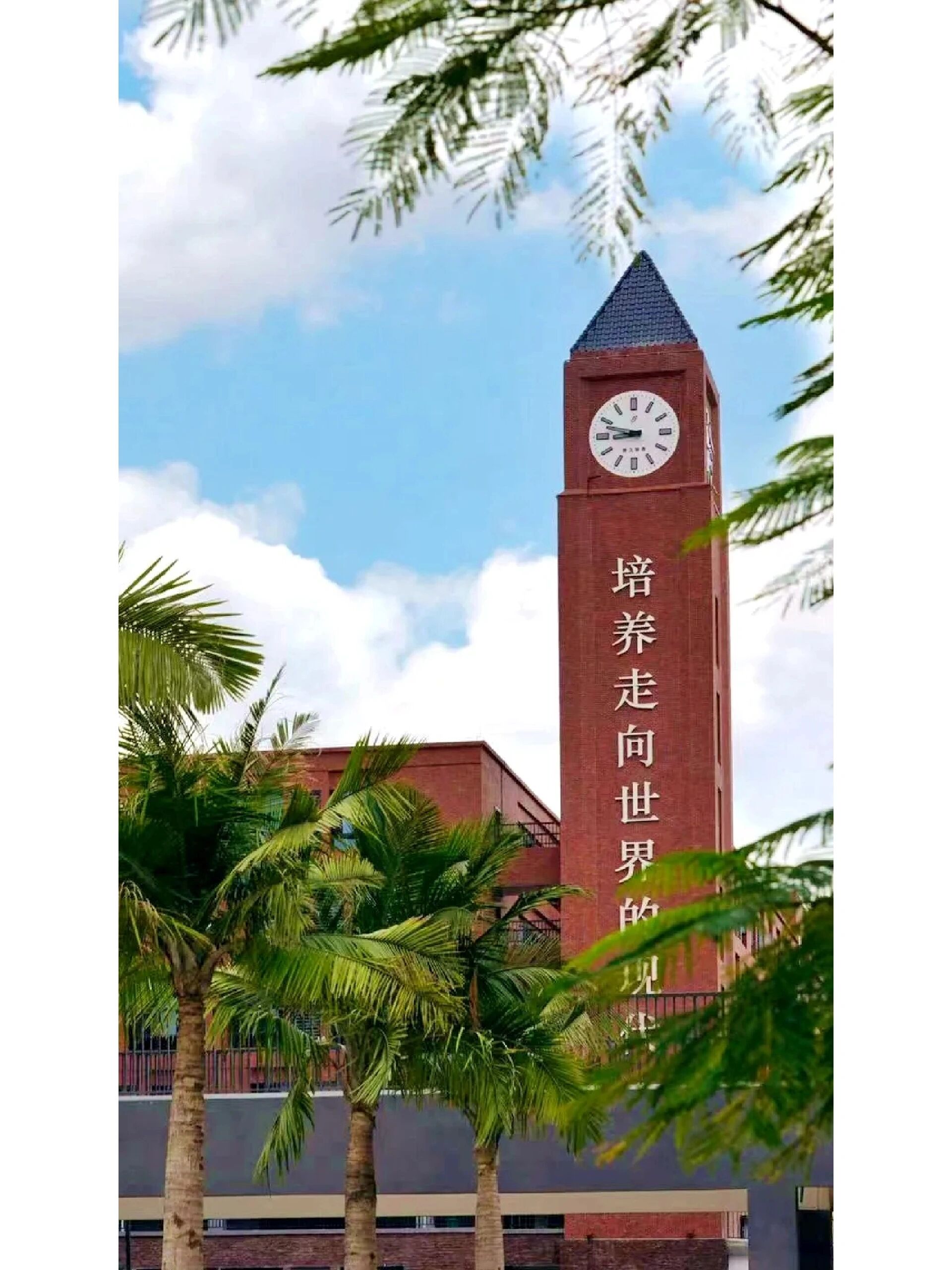 梅州市外语实验学校 漫步春日校园 仿佛等待一场久违的邂逅