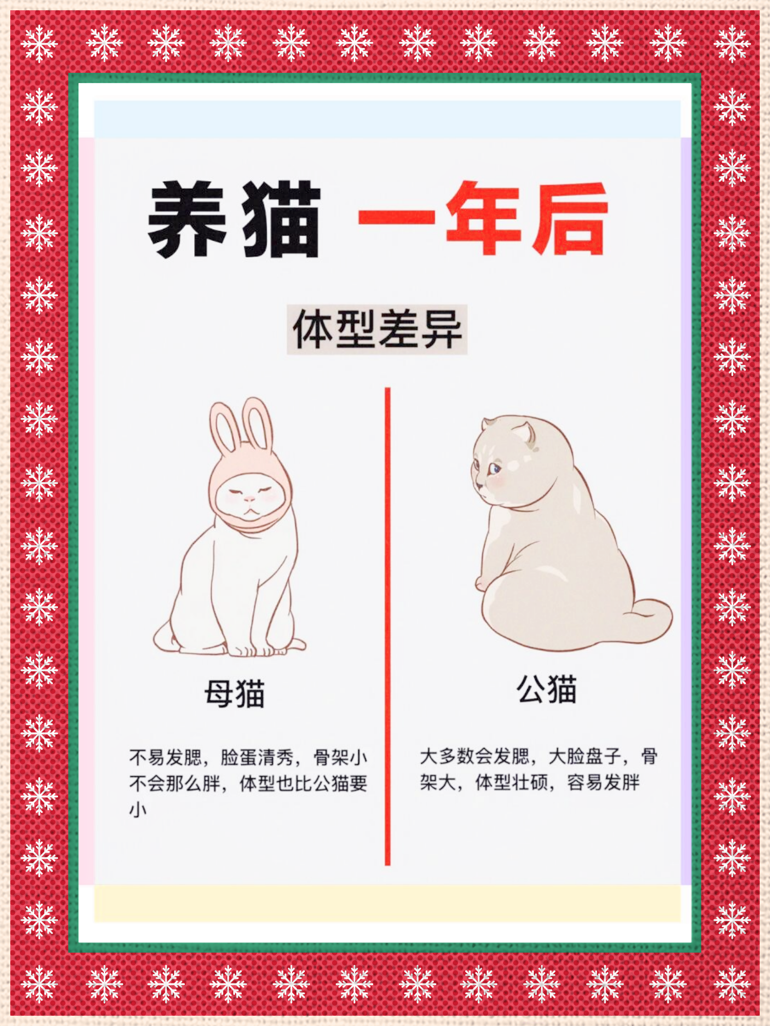 养公猫还是母猫好?