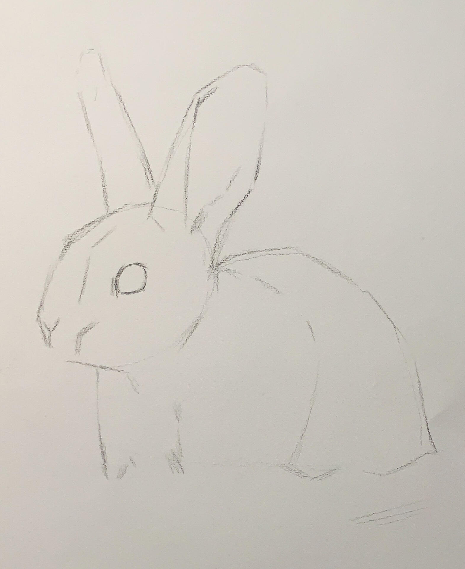 可爱又细致的素描 兔子 教程步骤详解