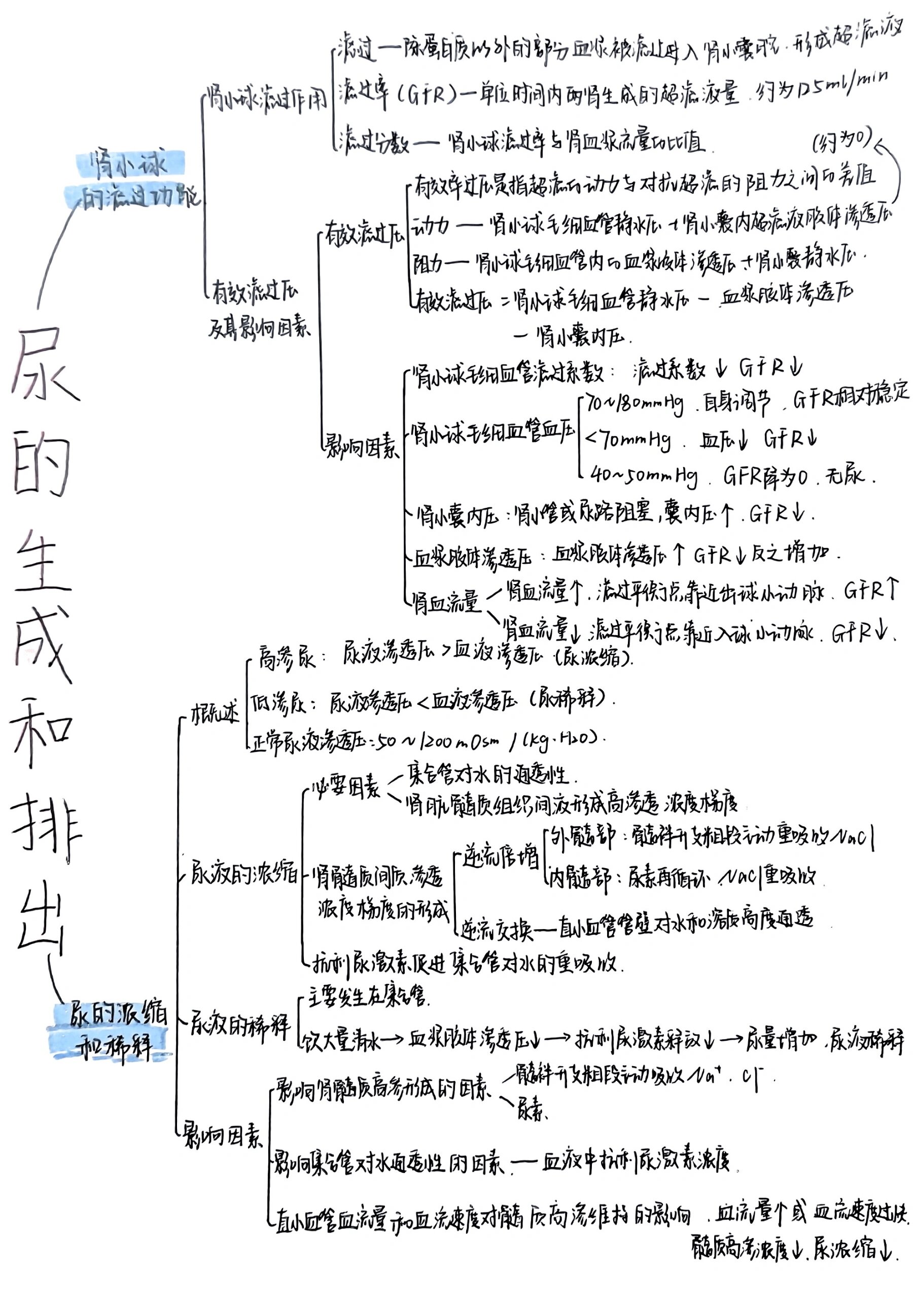 生理学第八章尿的生成和排出思维导图(二) 11566肾小球的滤过功能