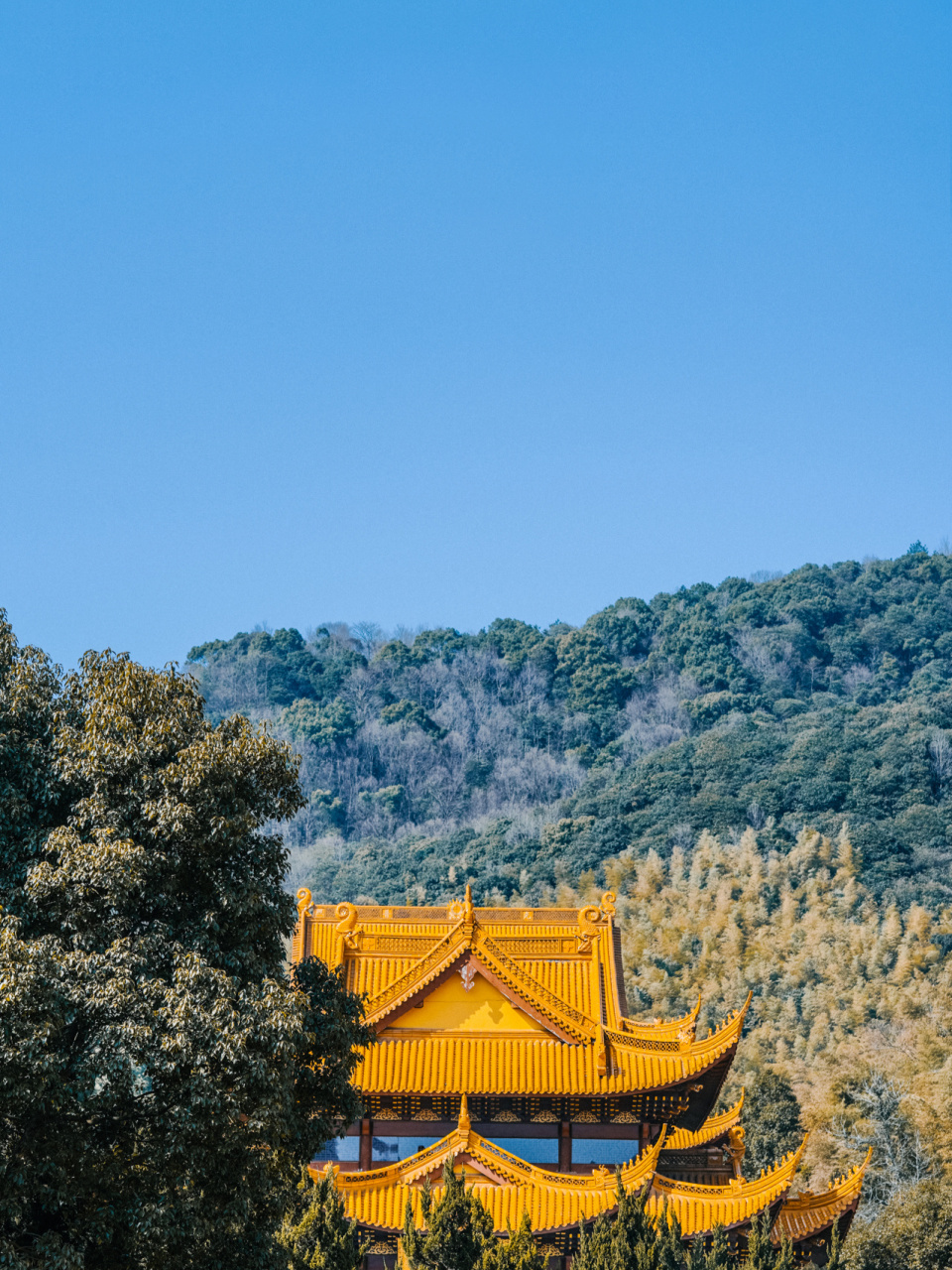 宁波|慧日禅寺,99.