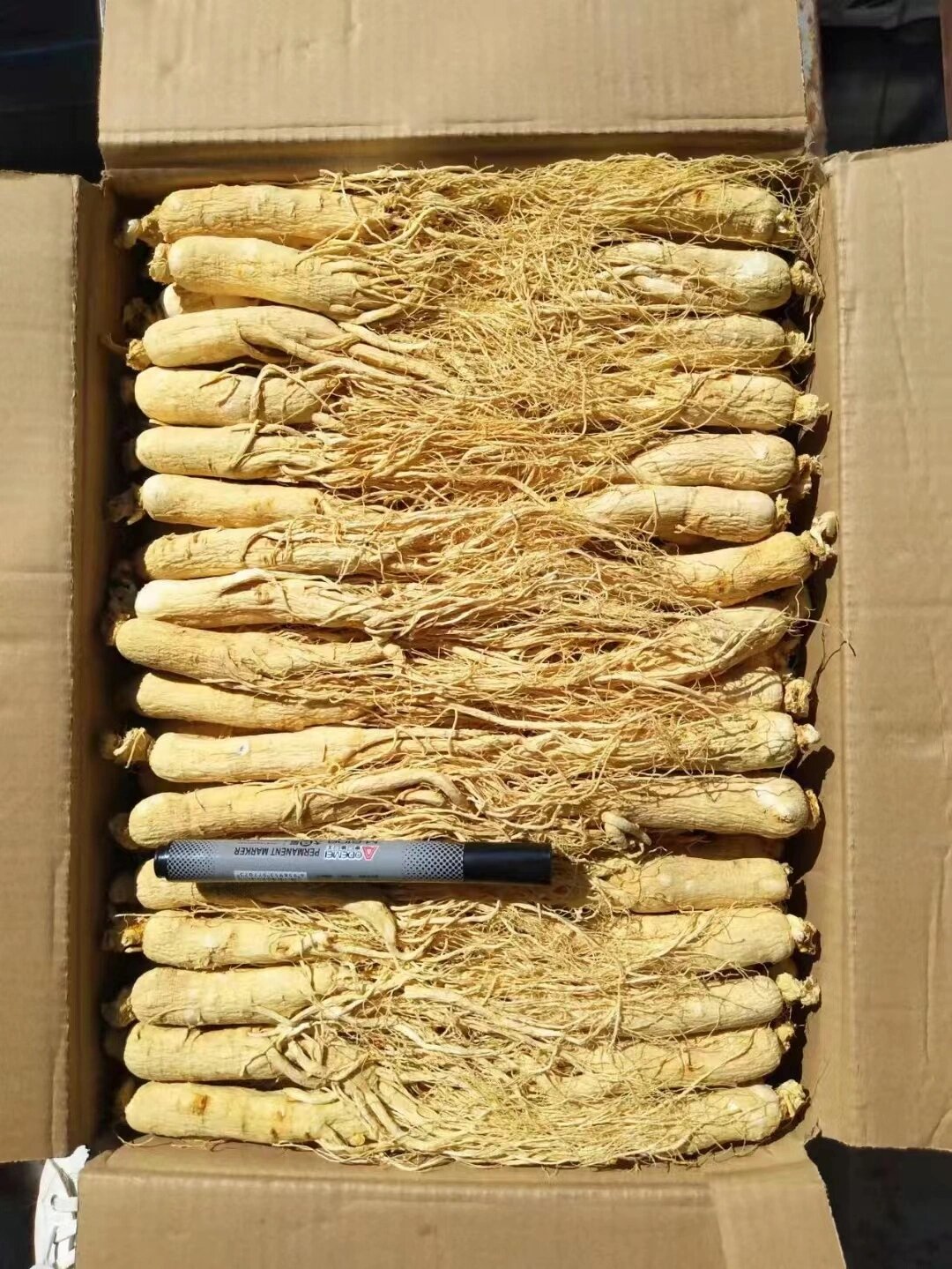 白参的功效与作用:大补元气,补脾益肺,安神增智 白参可以大补元气