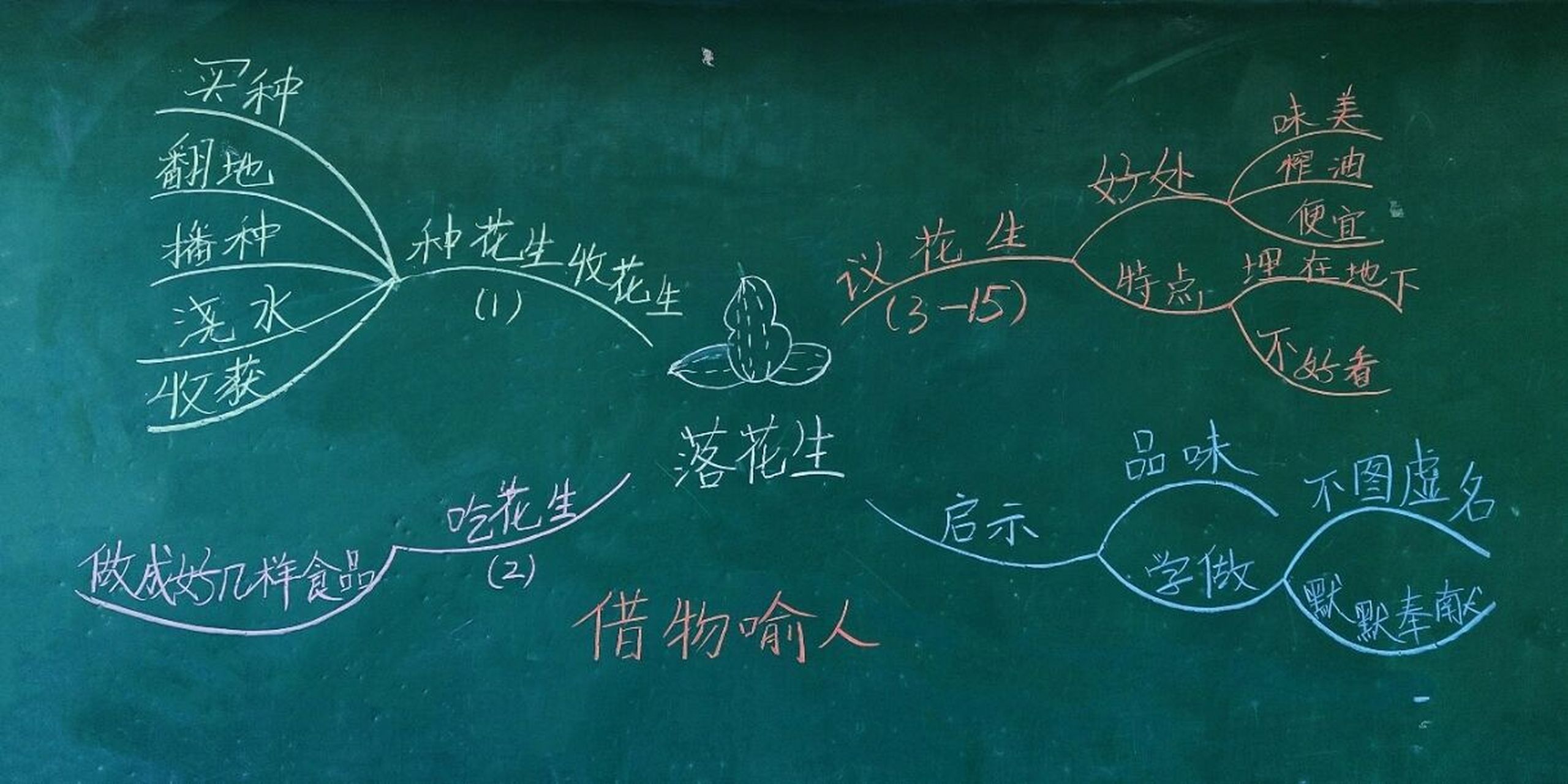 《落花生》板书