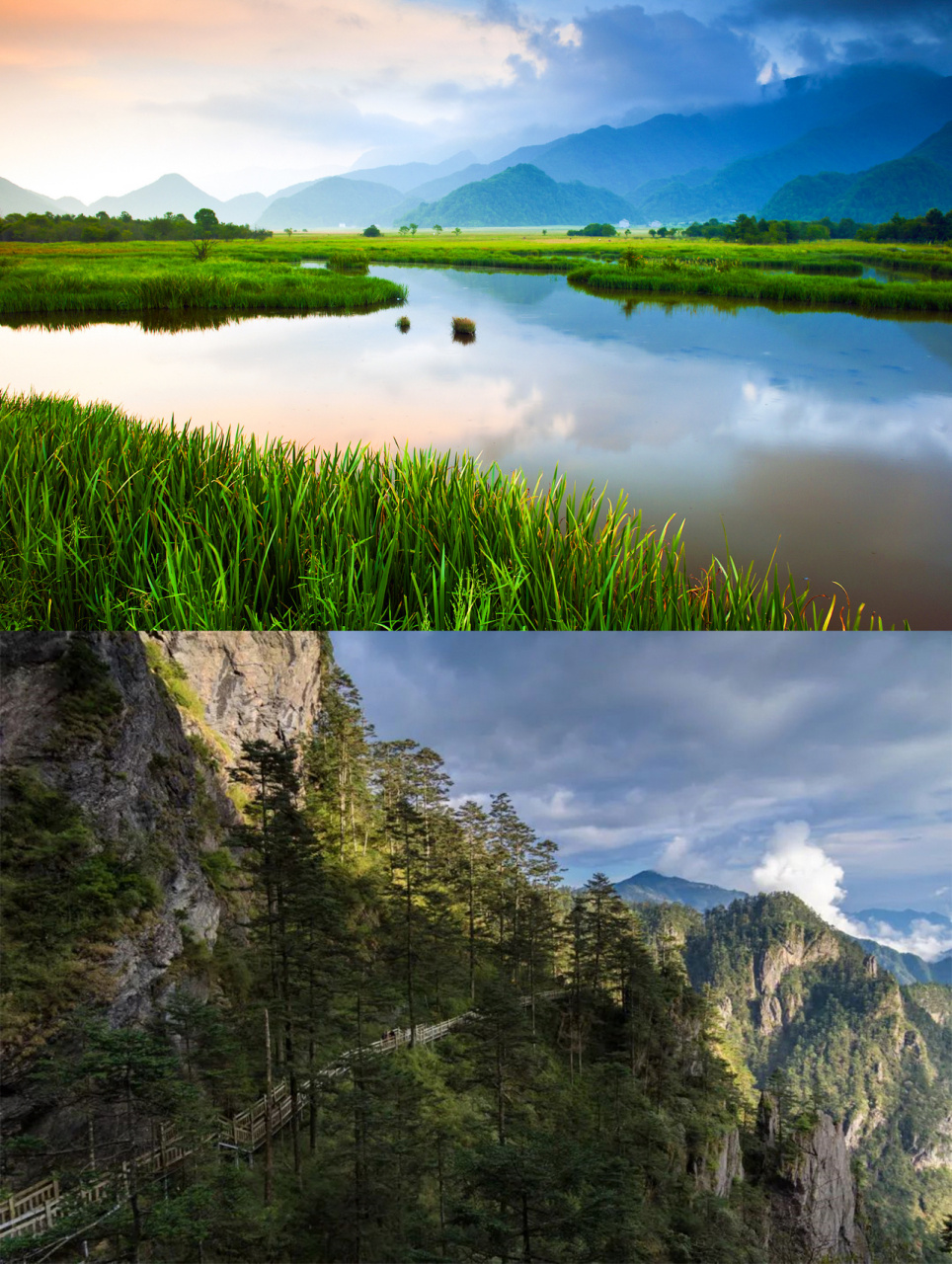 中国国家地理 | 国家森林公园,就在你身边 今天是植树节,地理君就带