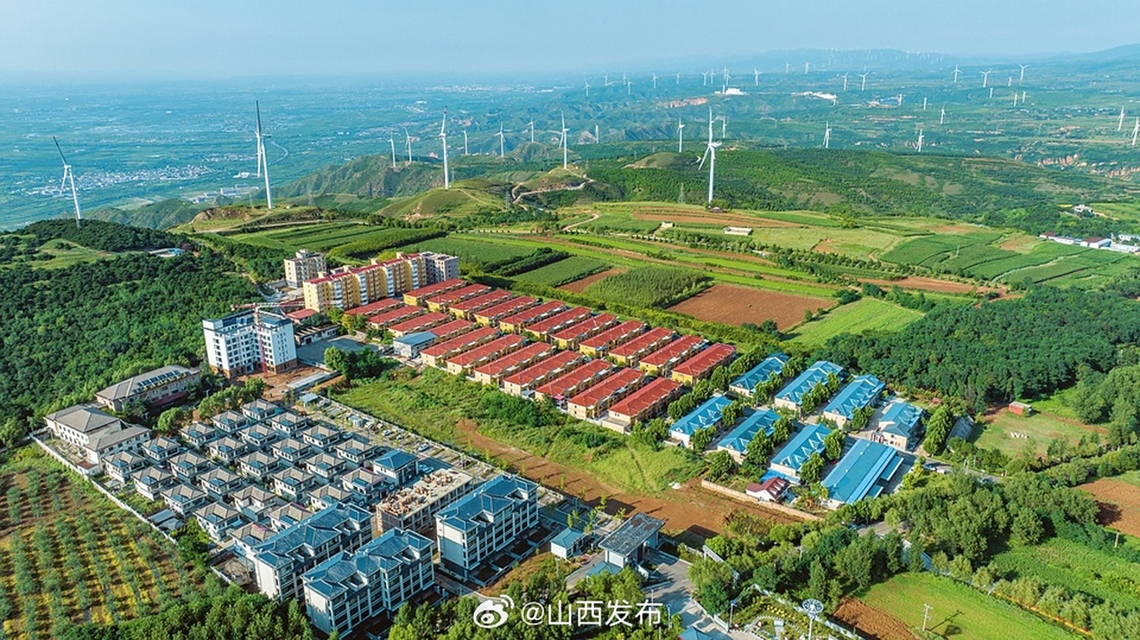 【打造秀美新农村】8月12日,空中俯瞰平陆县张店镇风口移民新村,一排