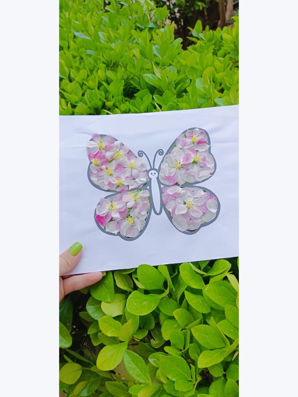 花瓣拼贴画 一幅贴画把春天留住,把室外的春日落花,拼贴成一幅花瓣画