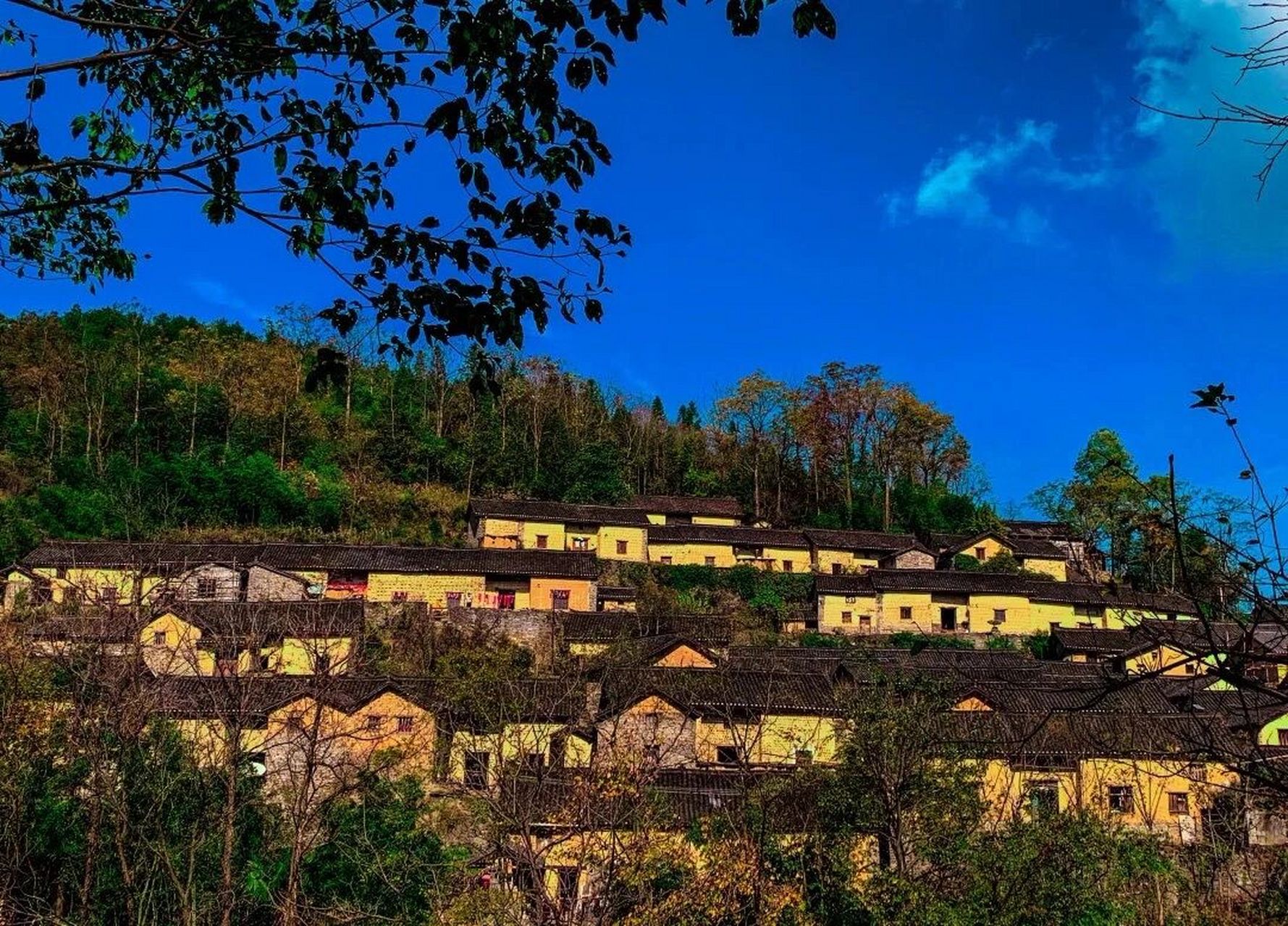 凤凰竹山村景区图片