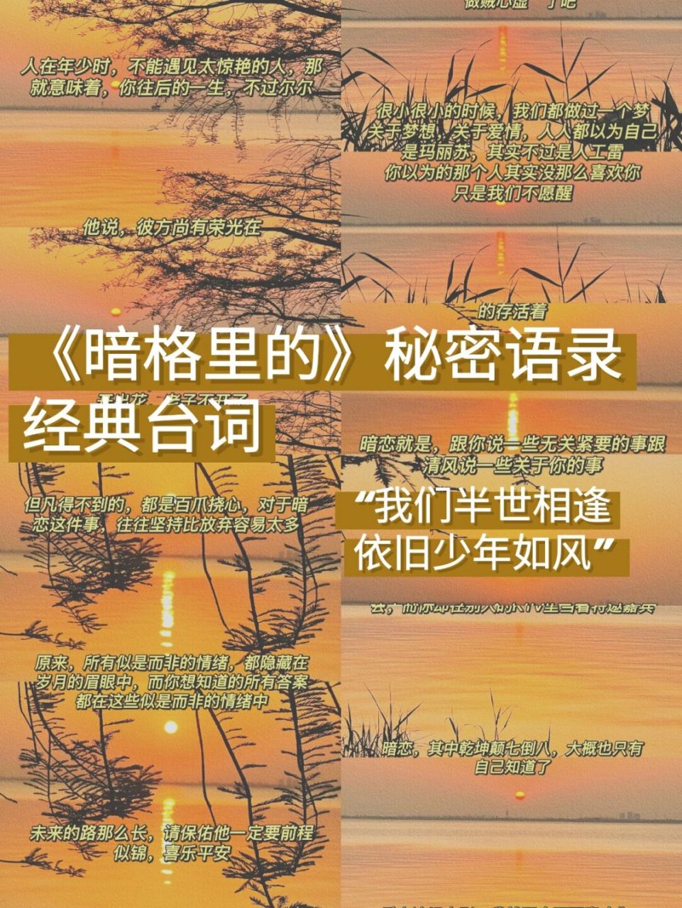 今天给大家分享的是暗格里的秘密语录,经典台词,希望大家喜欢,我们