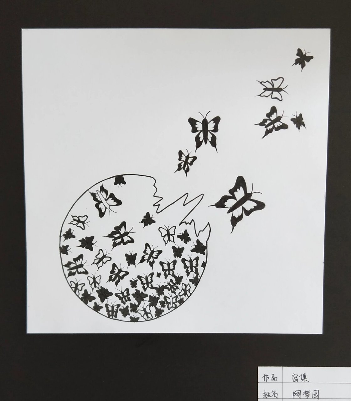 作业分享 高分作业 平面构成作业题目分别是点的线化2张,线的面化2张