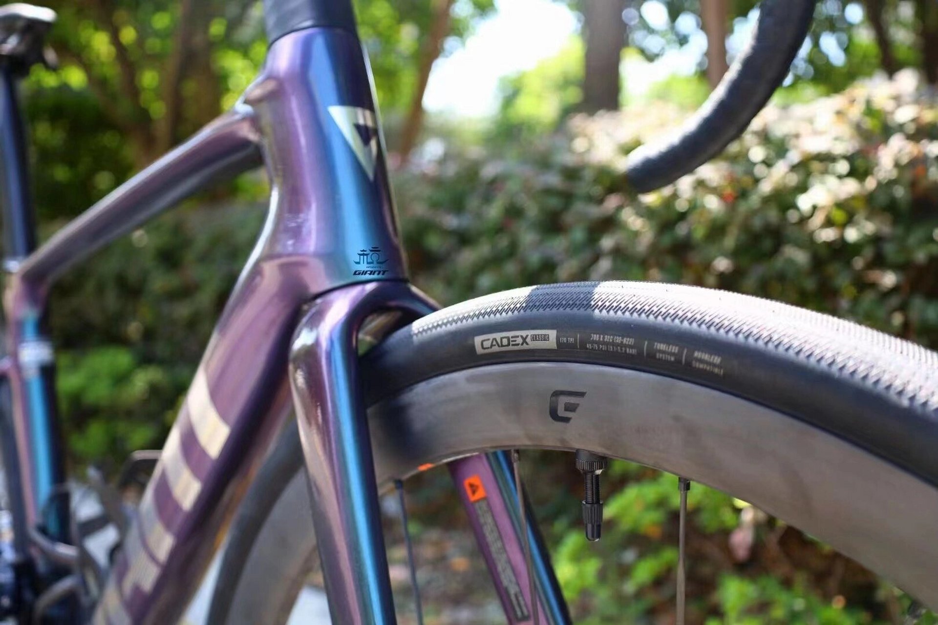 捷安特 defy adv sl 0 碳纤维公路车  defy advanced sl 0 捷安特第五