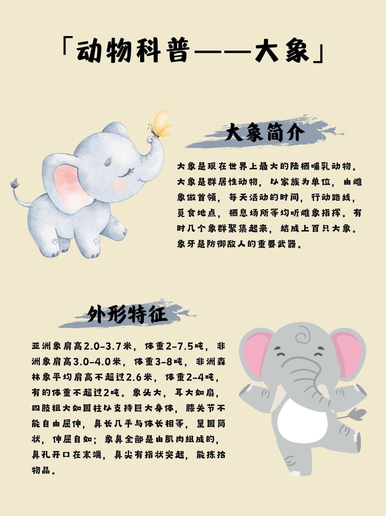 认识雨林中的巨人——大象98