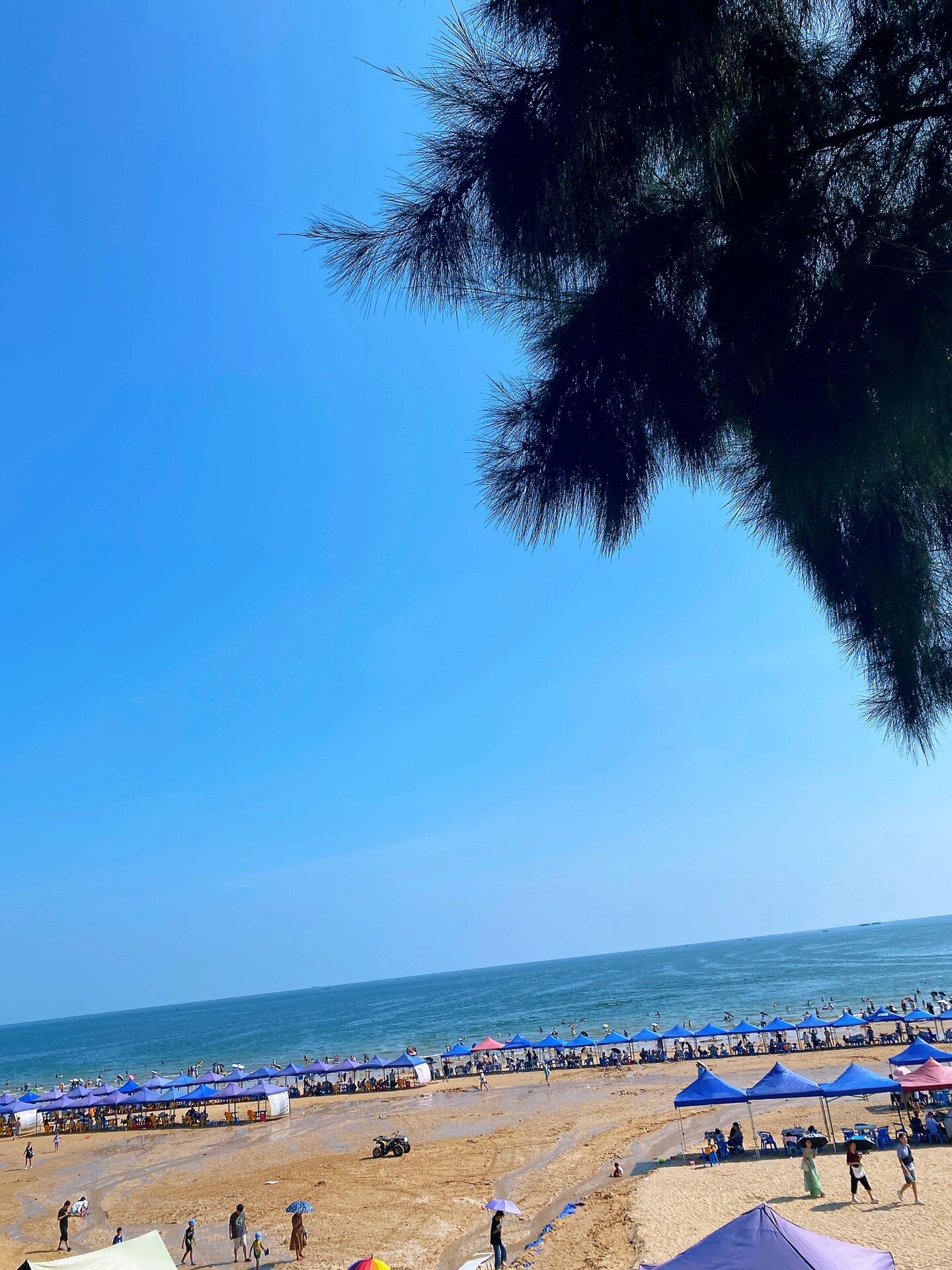 防城港——山新新村,天堂滩99 90地址:防城港山新新村,天堂滩