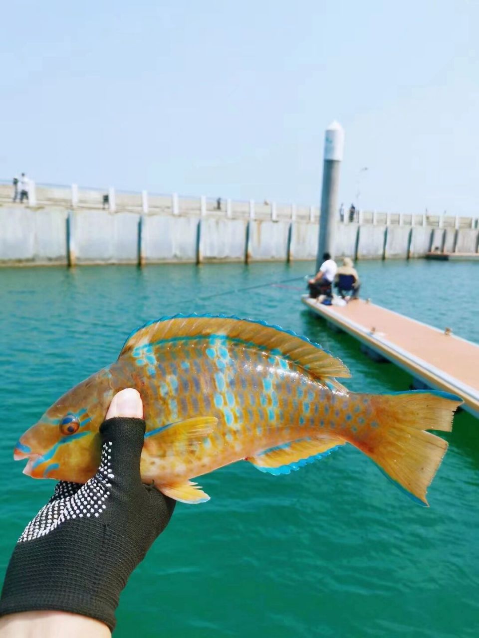 深圳海钓91景美,鱼多,人少的钓鱼宝藏地 各位钓友91,在深圳有一个