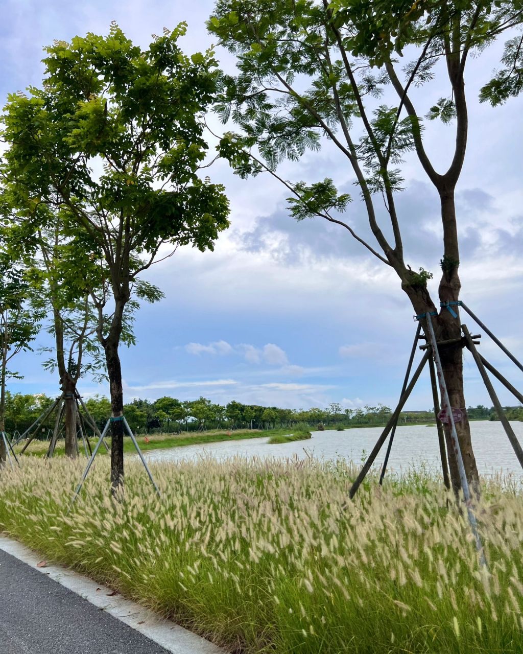 中山翠亨国家湿地公园📸太适合溜娃郊游踏青 秋天太适合和小朋友一