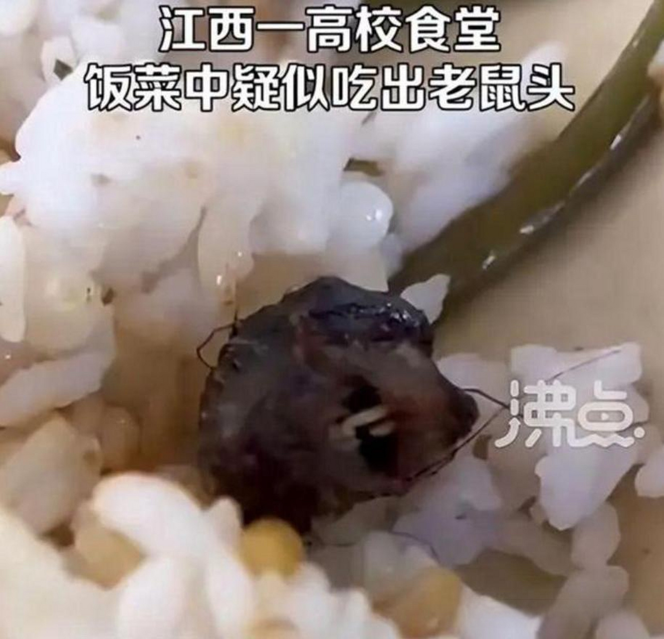 江西工业职业技术学院"指鼠为鸭"事件的这些官员应该被处理:  江西