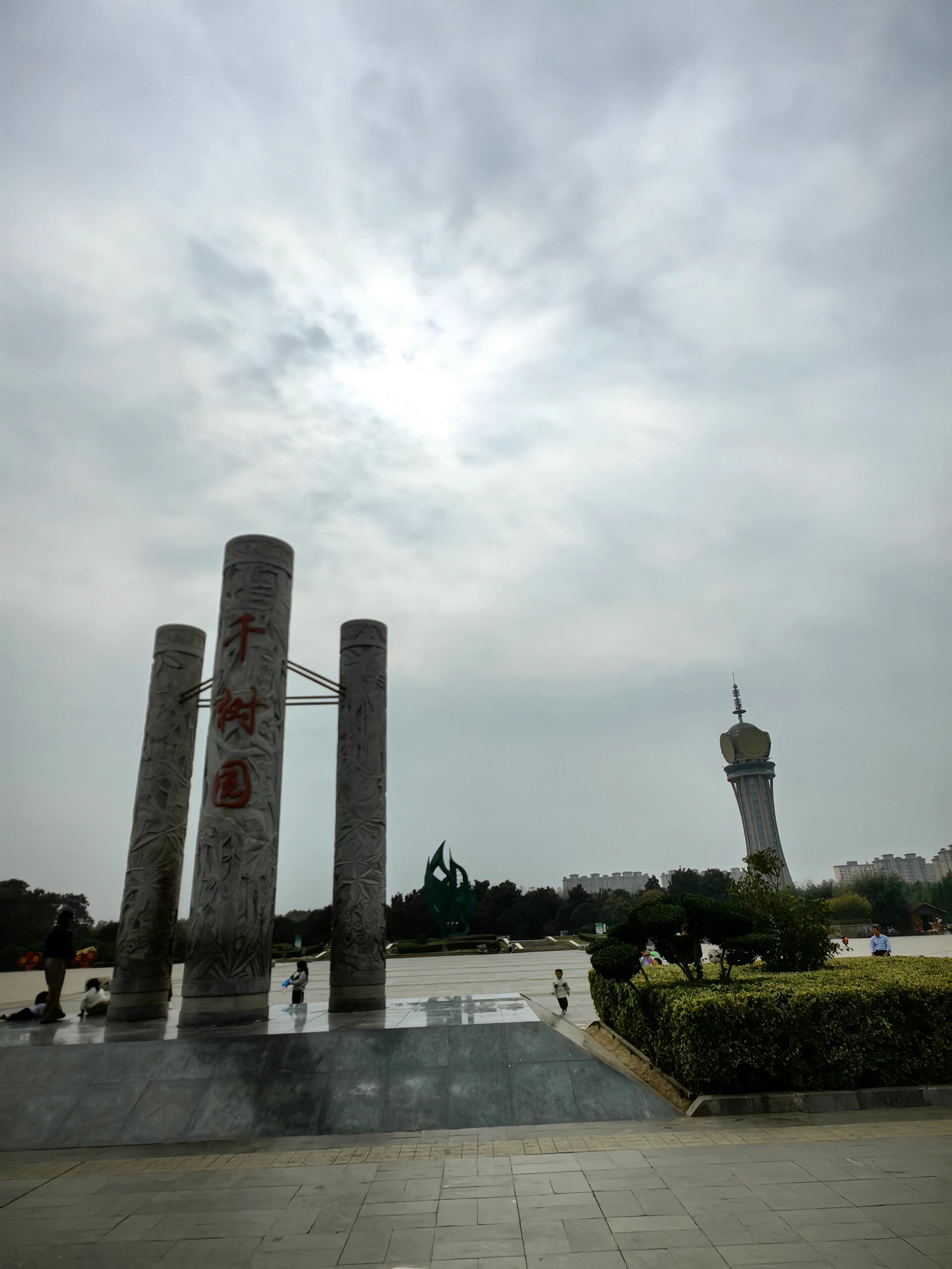 4 柘城千树园四季皆有美景 孙子早晨六点不到就起床看大风车,老奶奶带