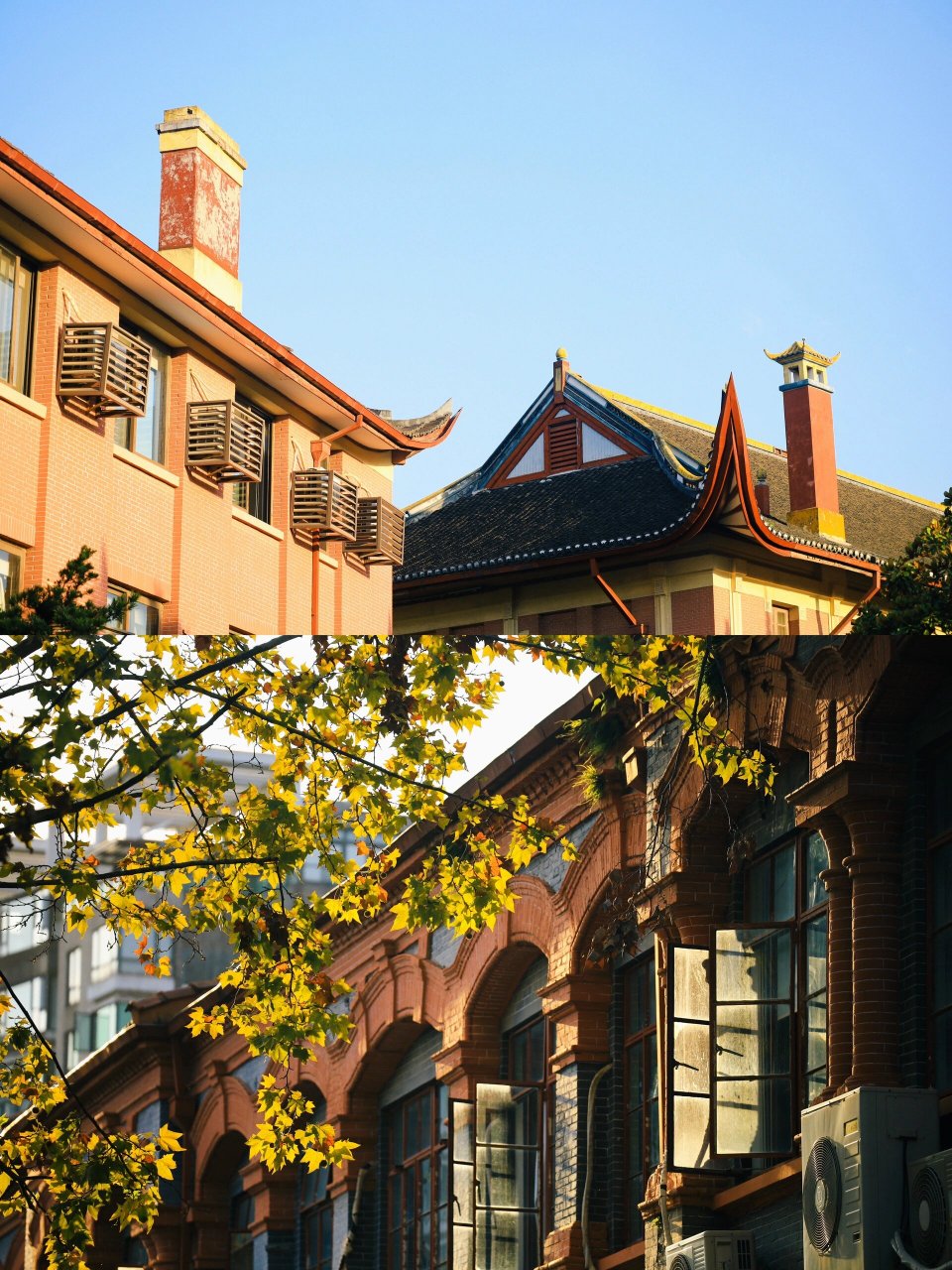 在秋天的华东政法大学校园里走一走