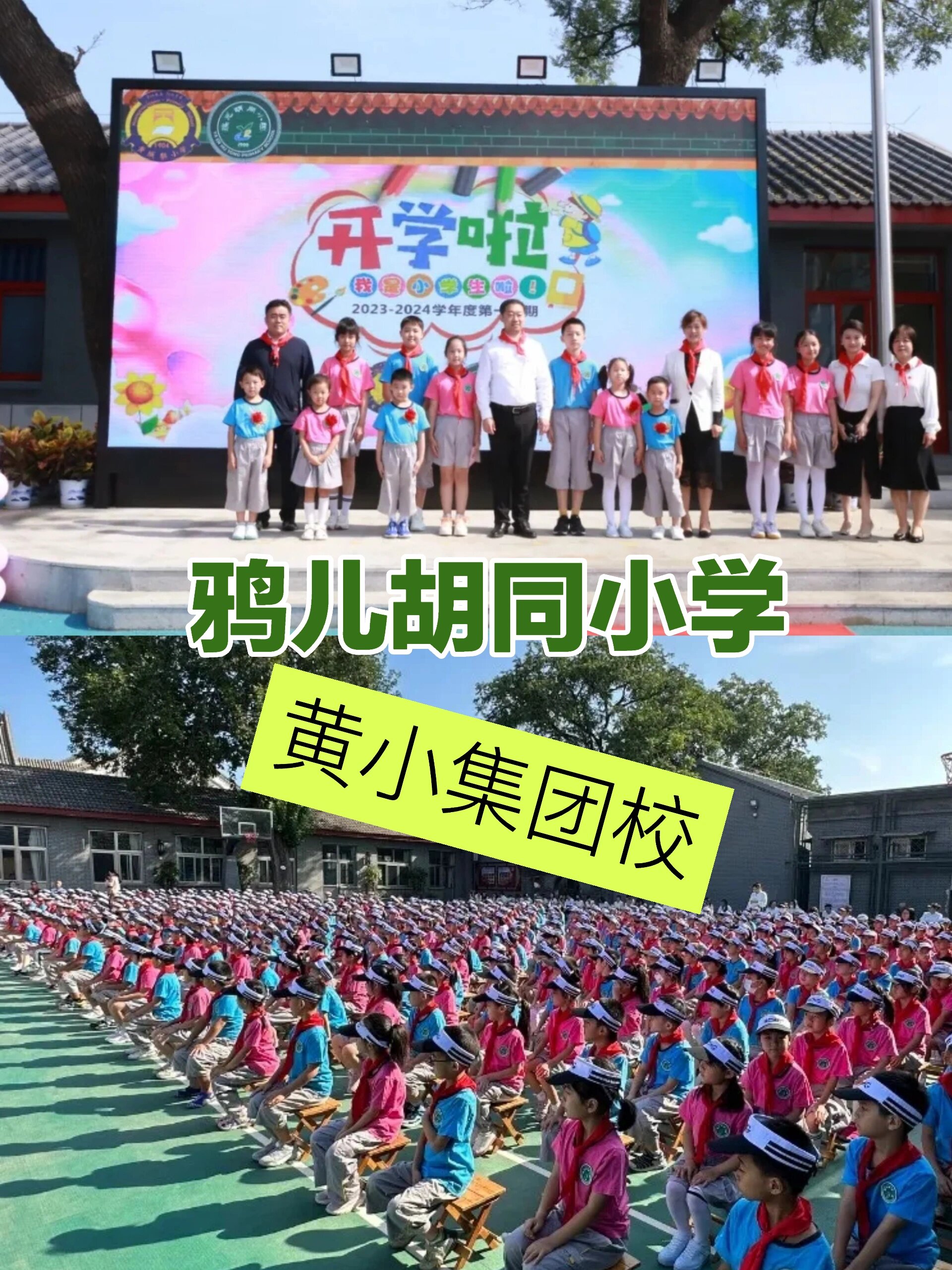 关于西城重点校内部资料！小学全科，珍贵资源的信息