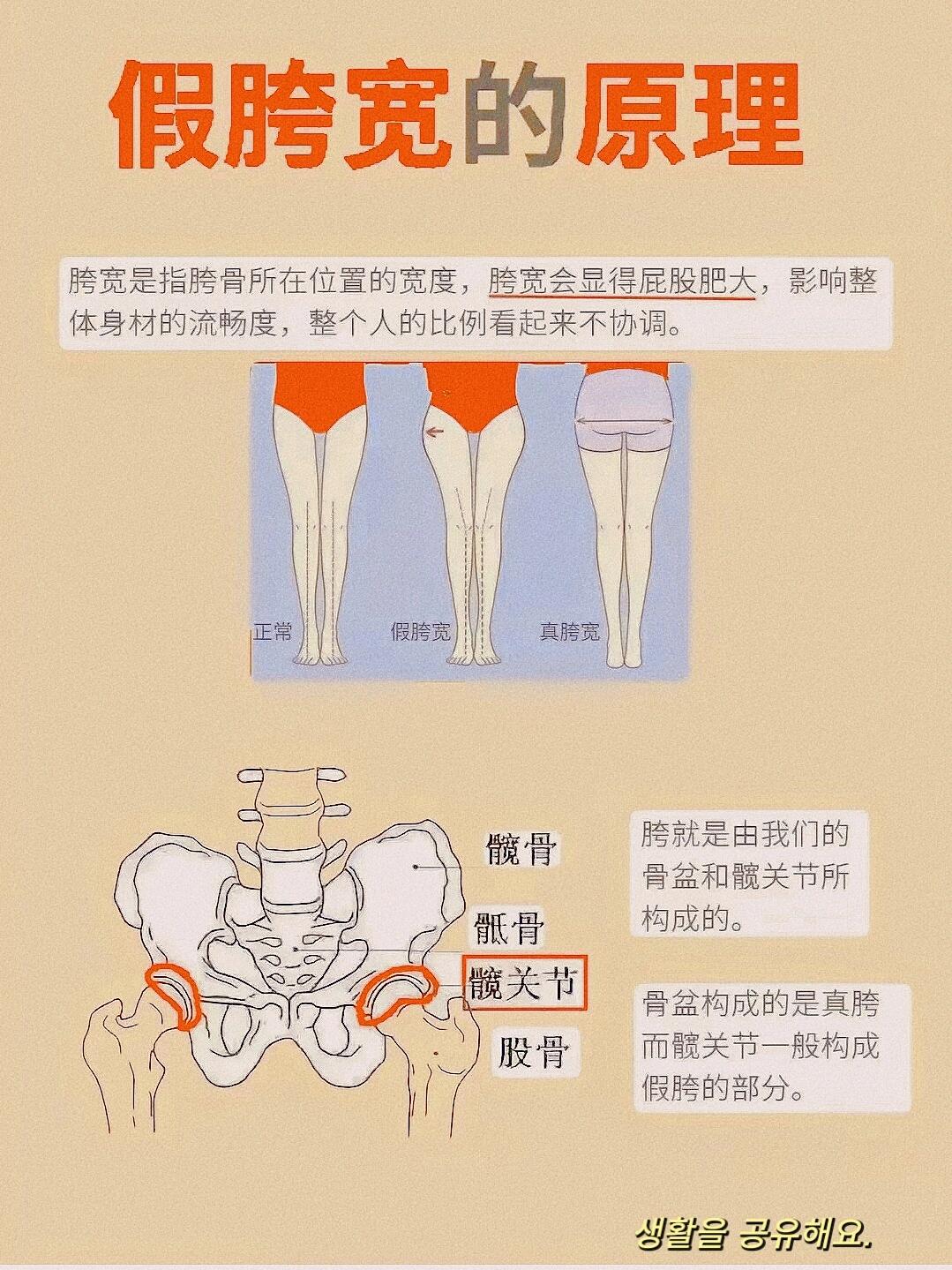 送髋和不送髋的图对比图片