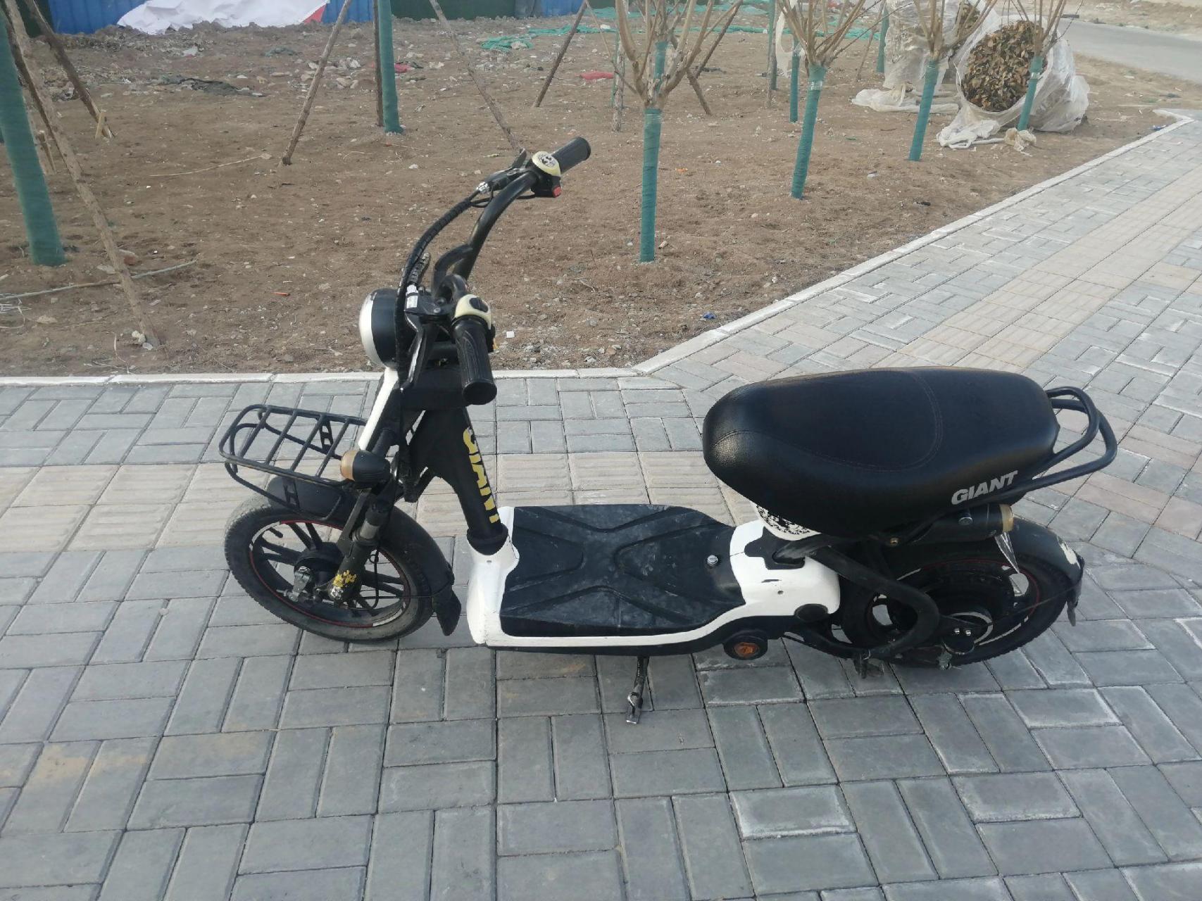 捷安特133骑不坏的电动车,这是正品,捷安特133,懂这款车的朋友联系