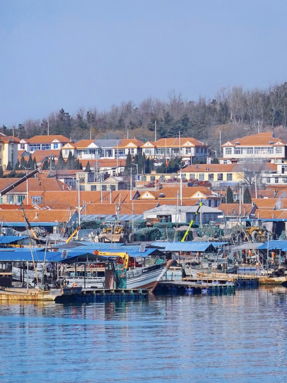 山东烟台还有这么美的渔村98大部游客错过 美好的风景总是在路上,去