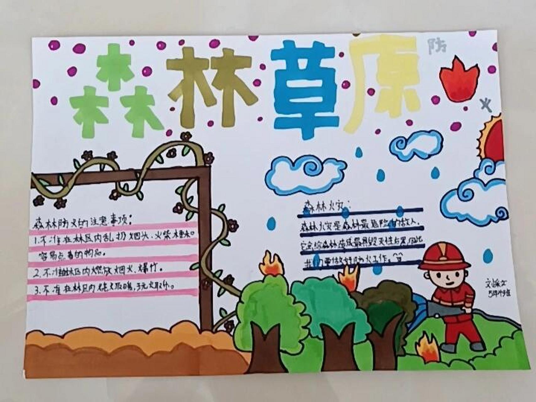 森林草原防火手抄报.😜